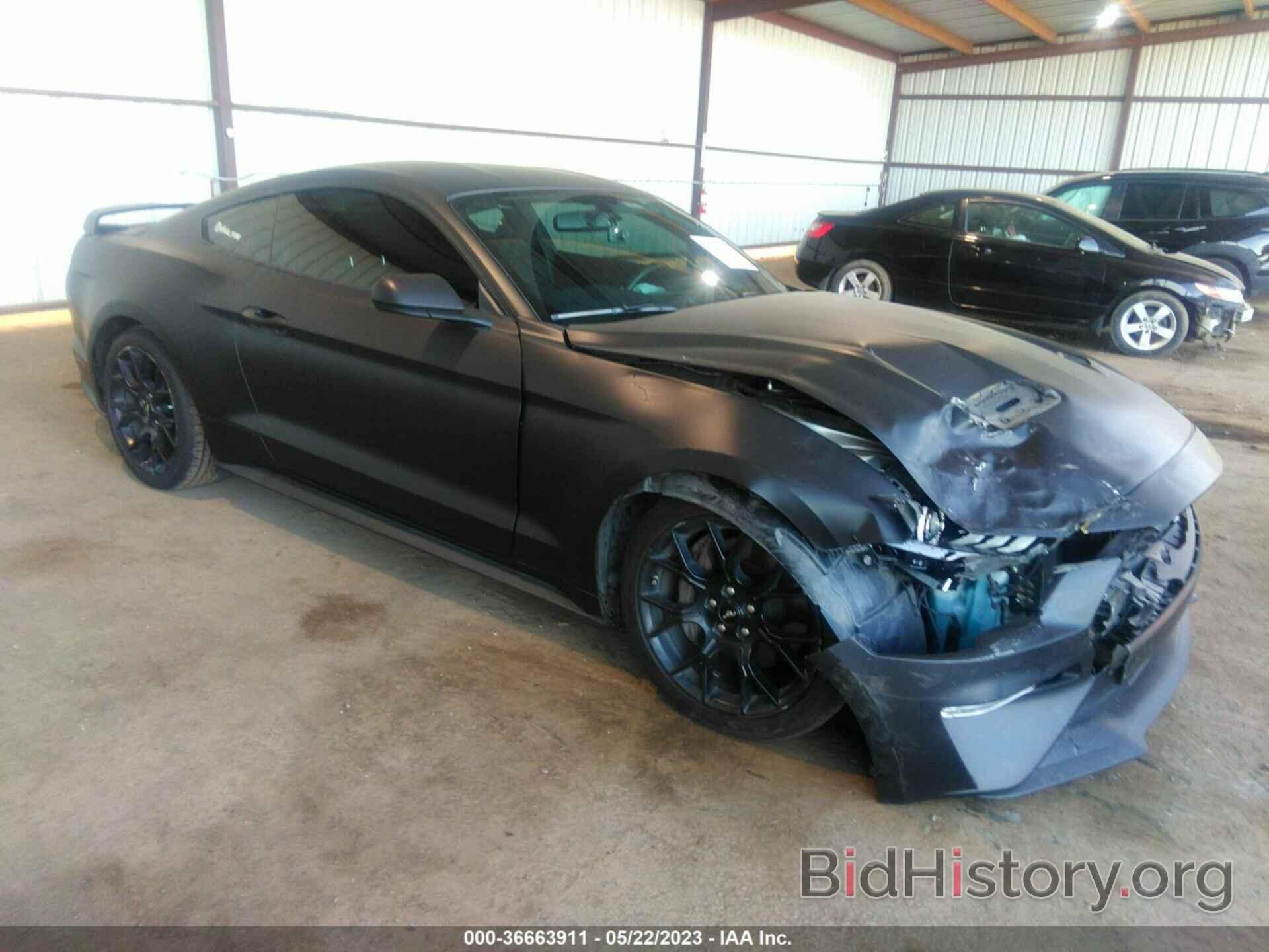 Photo 1FA6P8TH7K5169630 - FORD MUSTANG 2019