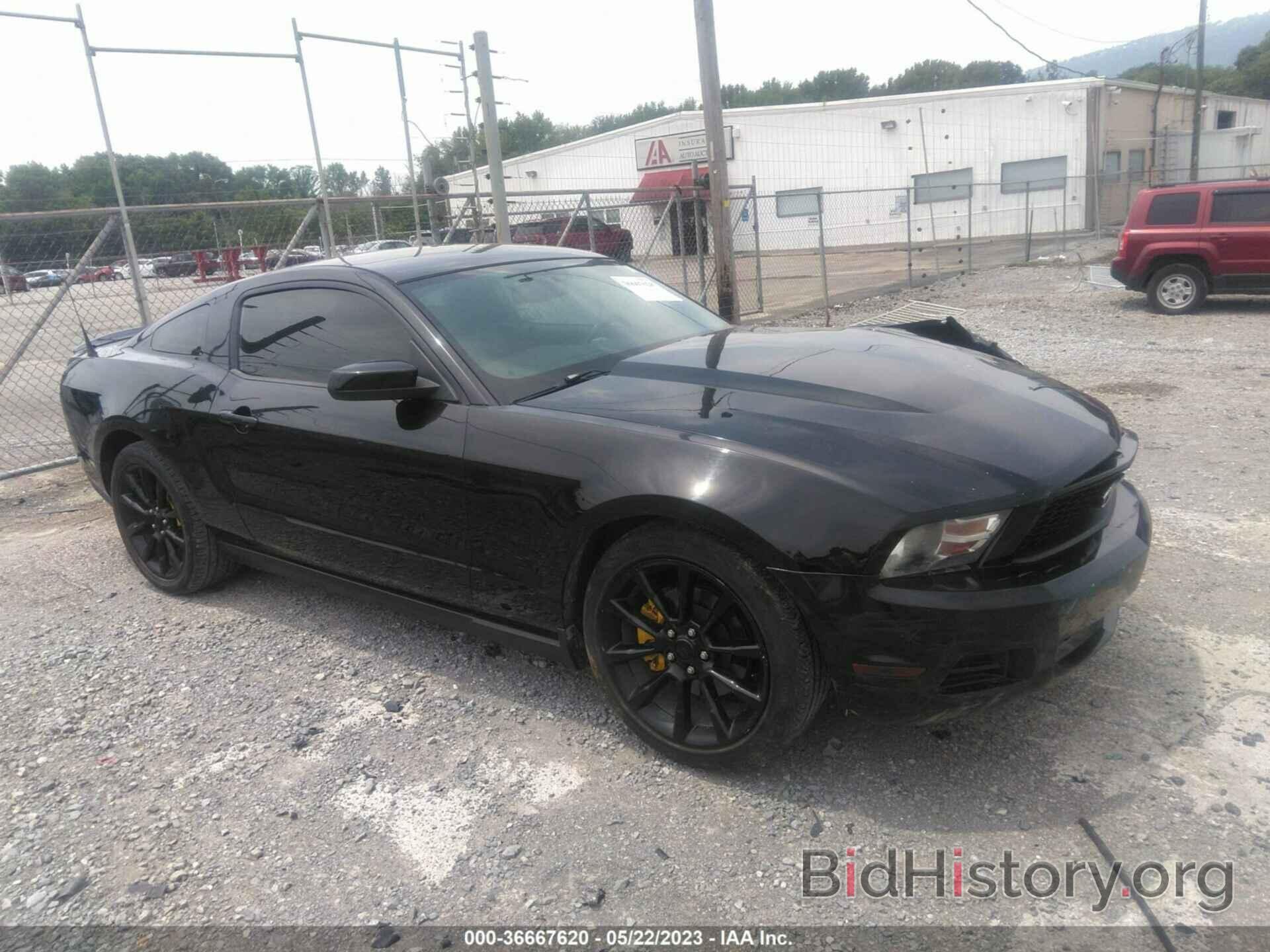 Photo 1ZVBP8AM9C5243332 - FORD MUSTANG 2012