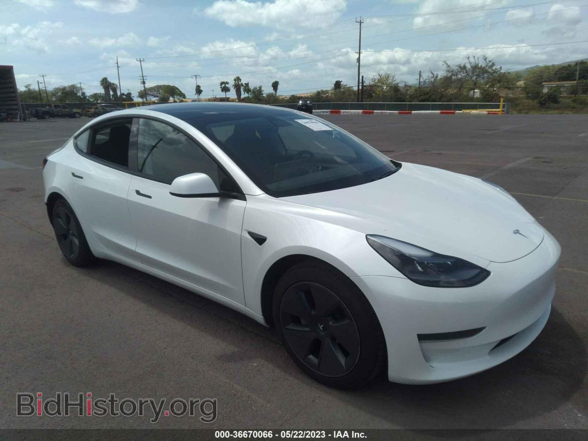 Photo 5YJ3E1EA8MF977464 - TESLA MODEL 3 2021