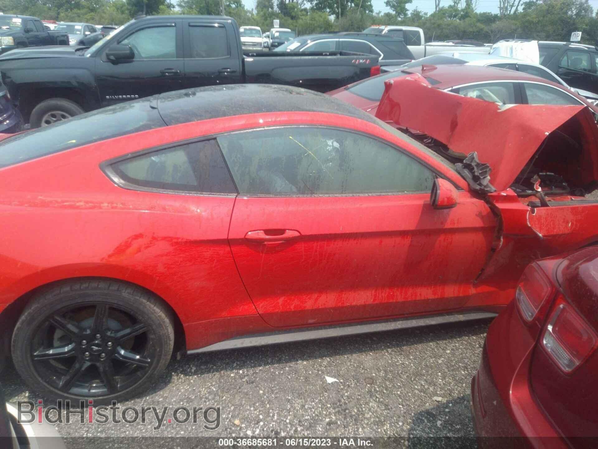 2019 FORD MUSTANG - VIN: 1FA6P8TH1K5146909 - Фото 13