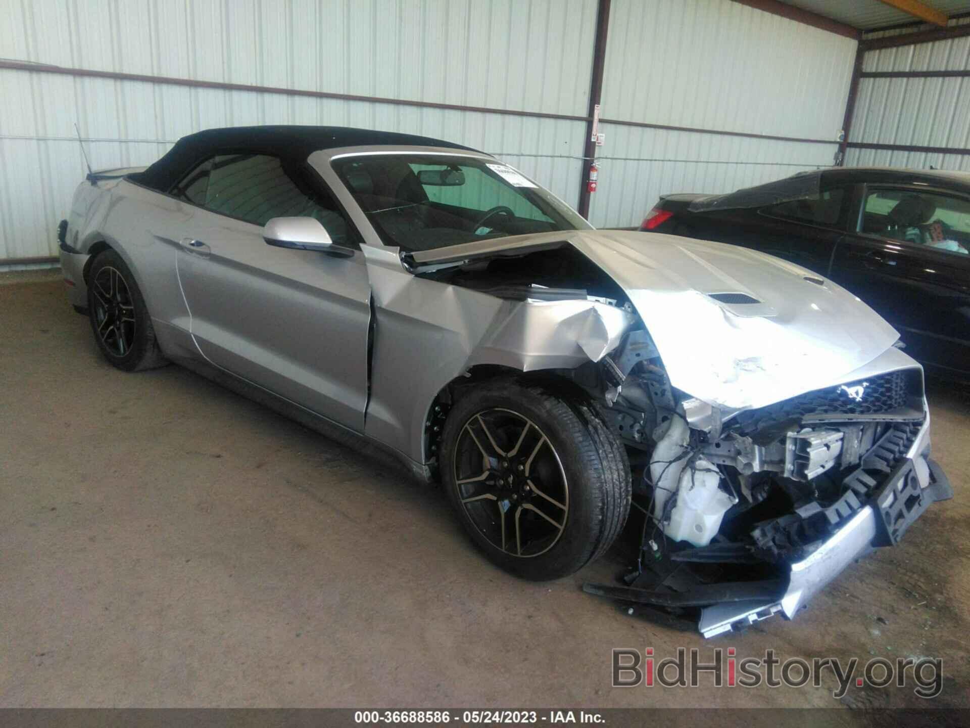 Photo 1FATP8UH2K5170167 - FORD MUSTANG 2019