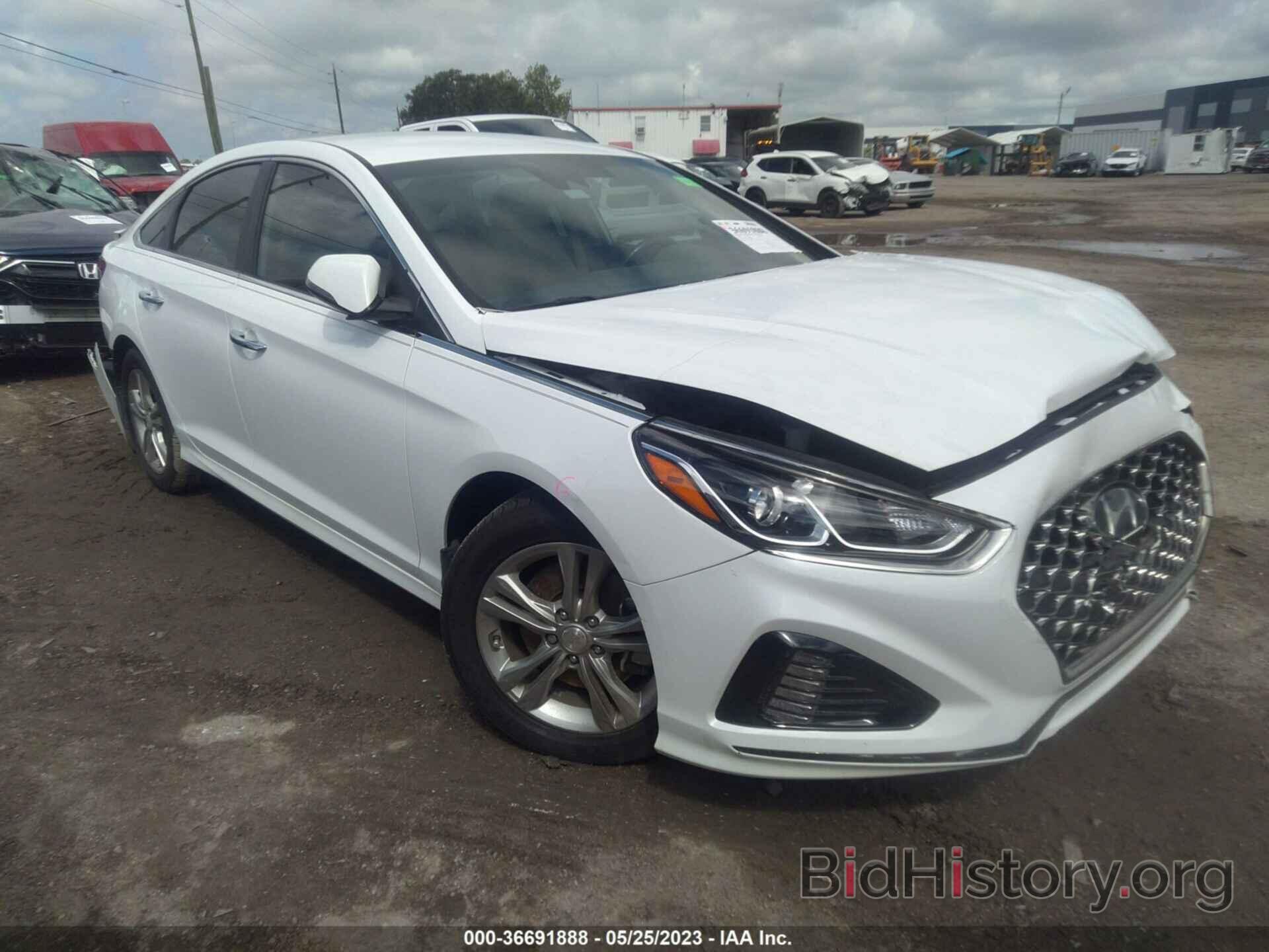 Photo 5NPE34AF4KH793025 - HYUNDAI SONATA 2019