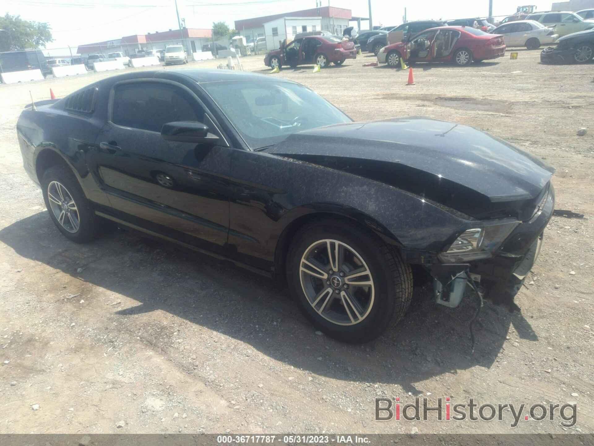 Photo 1ZVBP8AM6D5225212 - FORD MUSTANG 2013