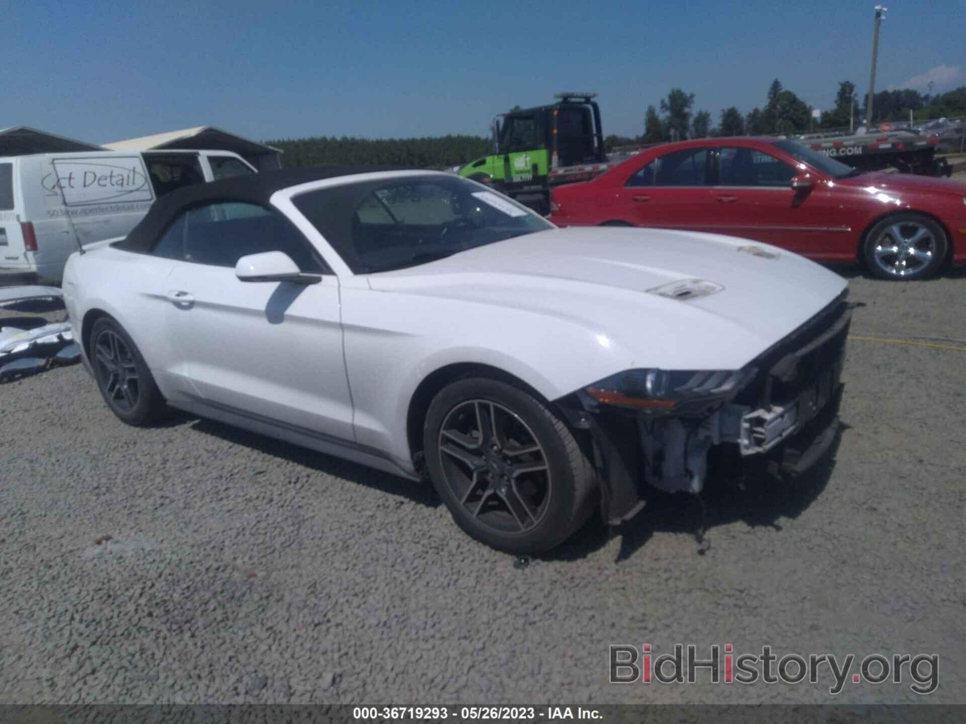 Photo 1FATP8UHXK5149146 - FORD MUSTANG 2019