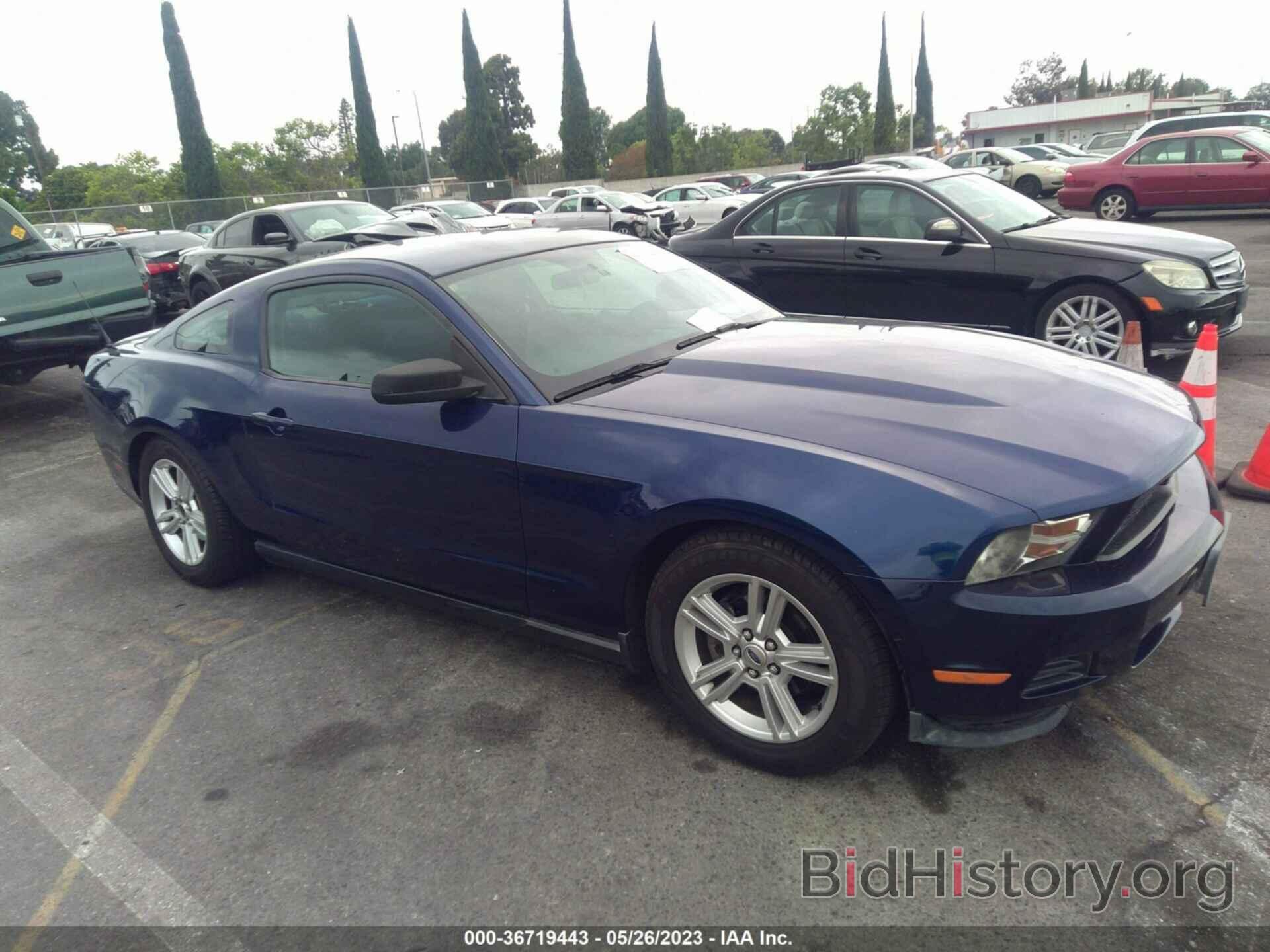 Photo 1ZVBP8AN2A5159004 - FORD MUSTANG 2010