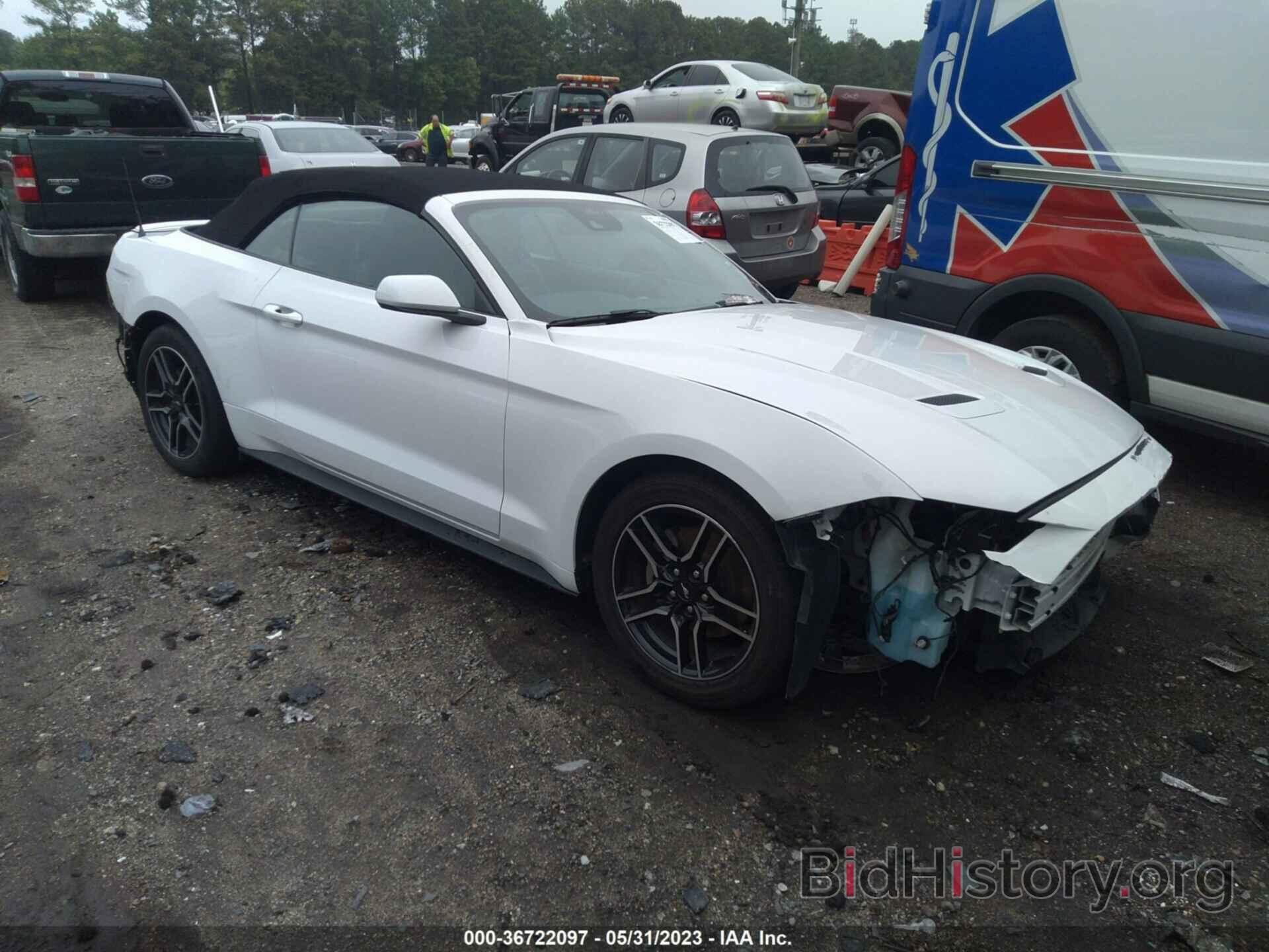 Photo 1FATP8UH1M5101666 - FORD MUSTANG 2021