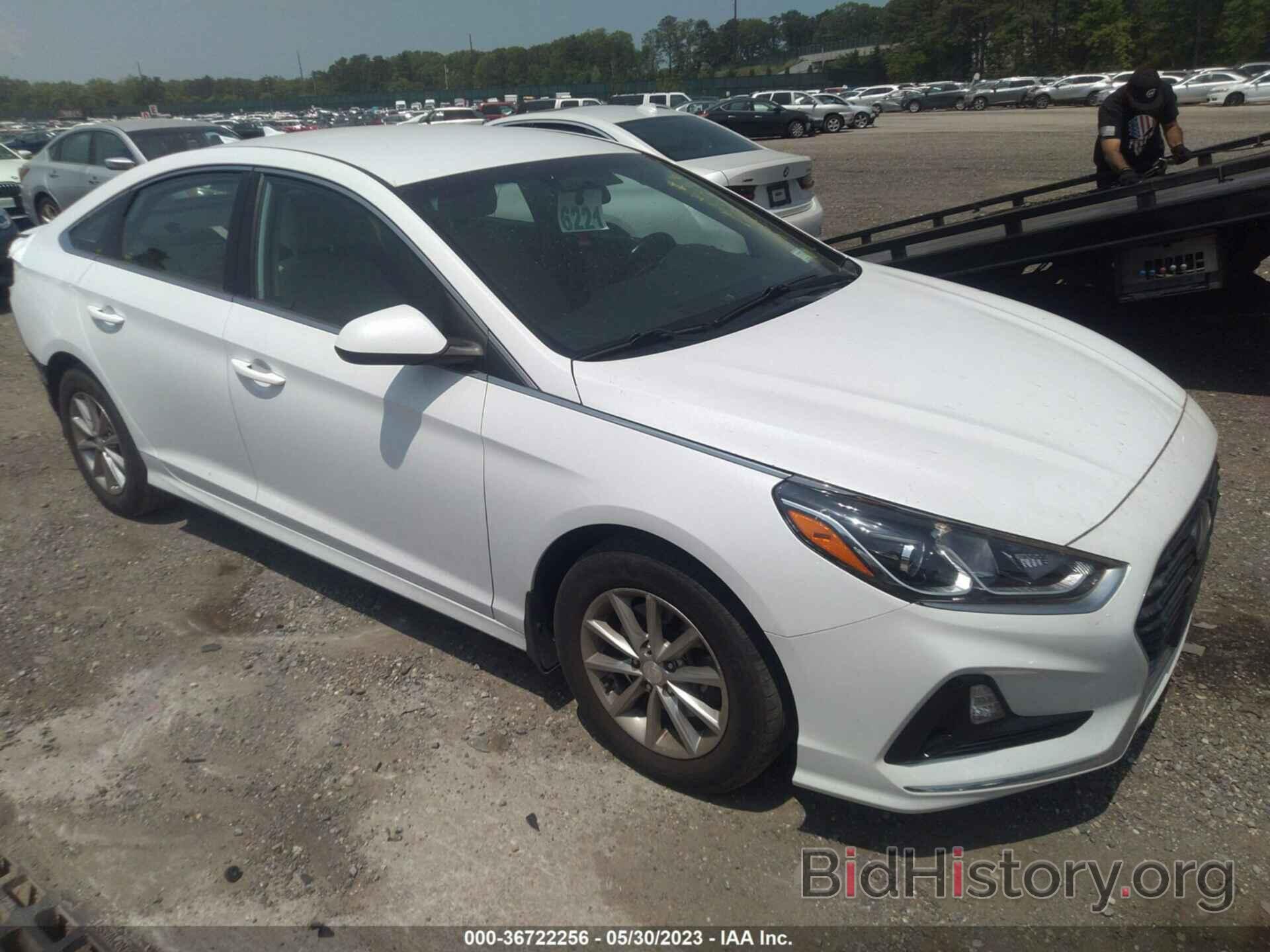 Photo 5NPE24AF8KH812405 - HYUNDAI SONATA 2019