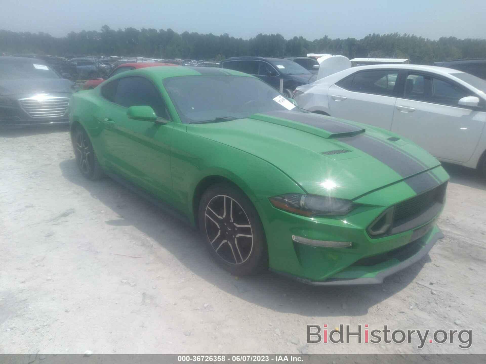 Photo 1FA6P8TH7K5204554 - FORD MUSTANG 2019