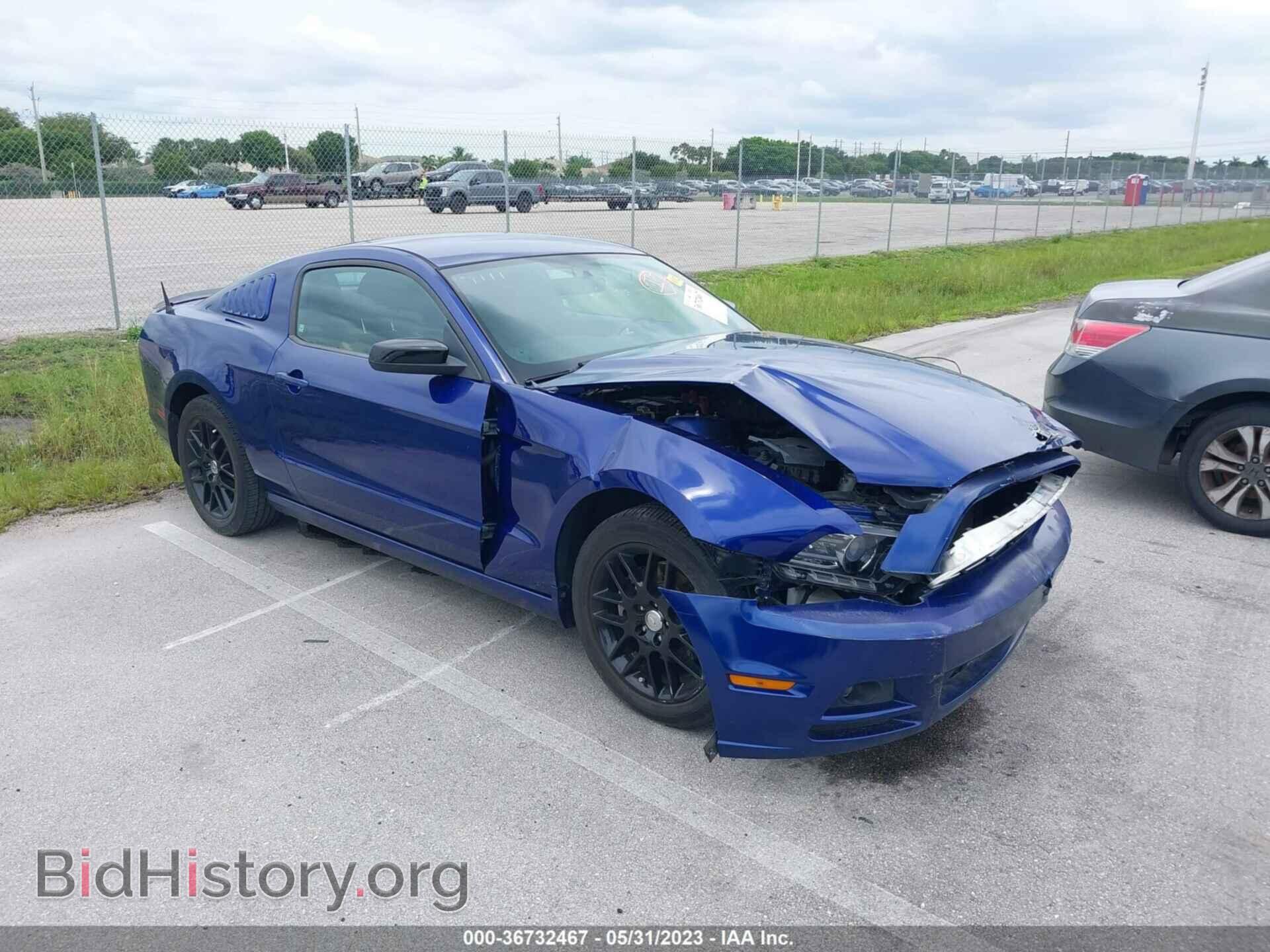 Фотография 1ZVBP8AM7E5216617 - FORD MUSTANG 2014