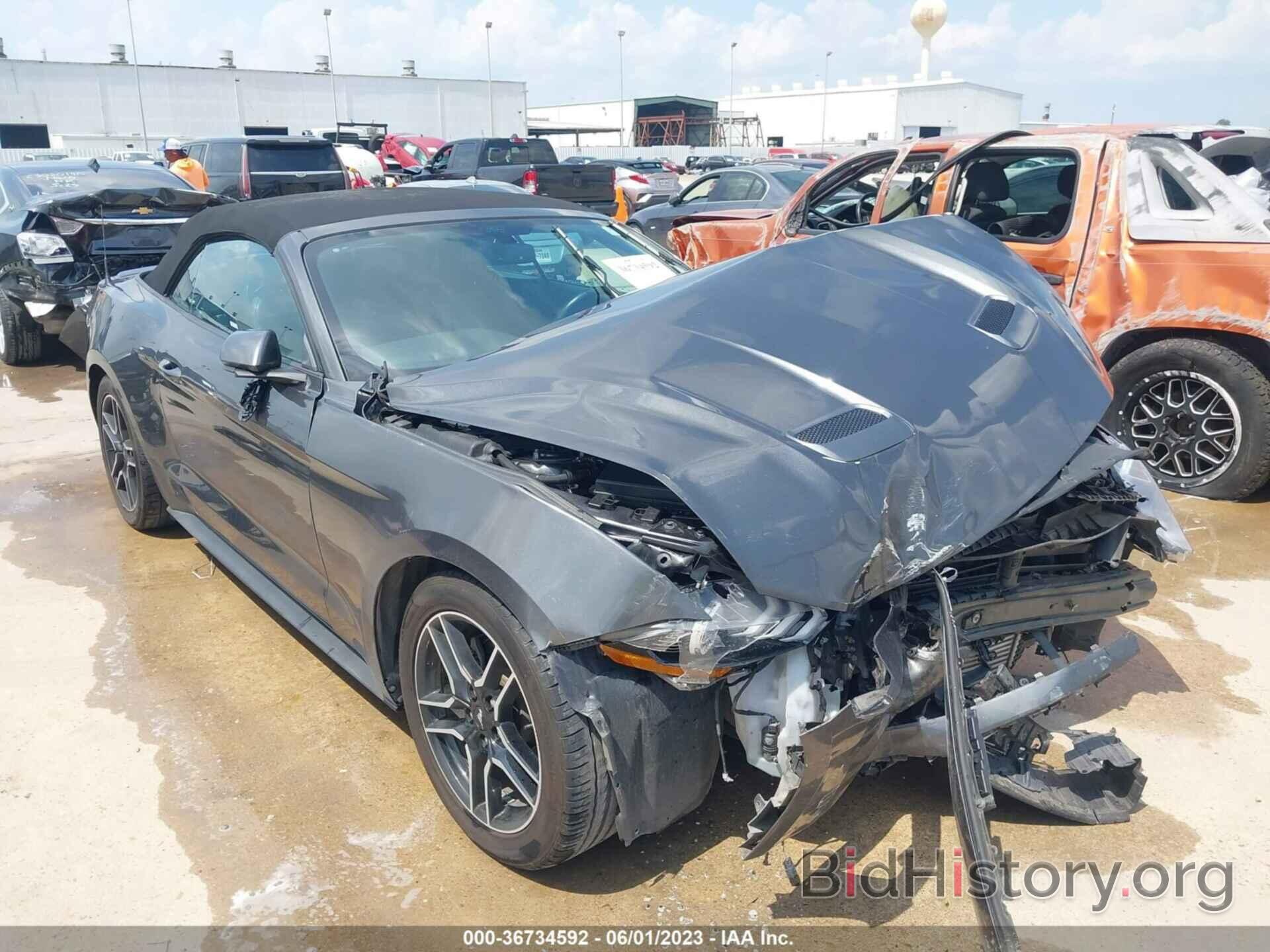 Photo 1FATP8UH4K5104297 - FORD MUSTANG 2019