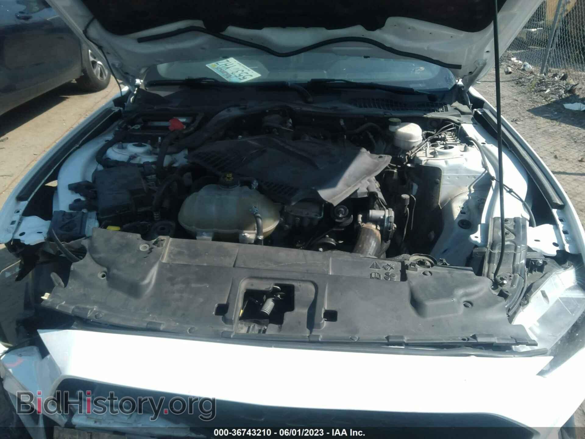 2019 FORD MUSTANG - VIN: 1FA6P8TH4K5166815 - Фото 10