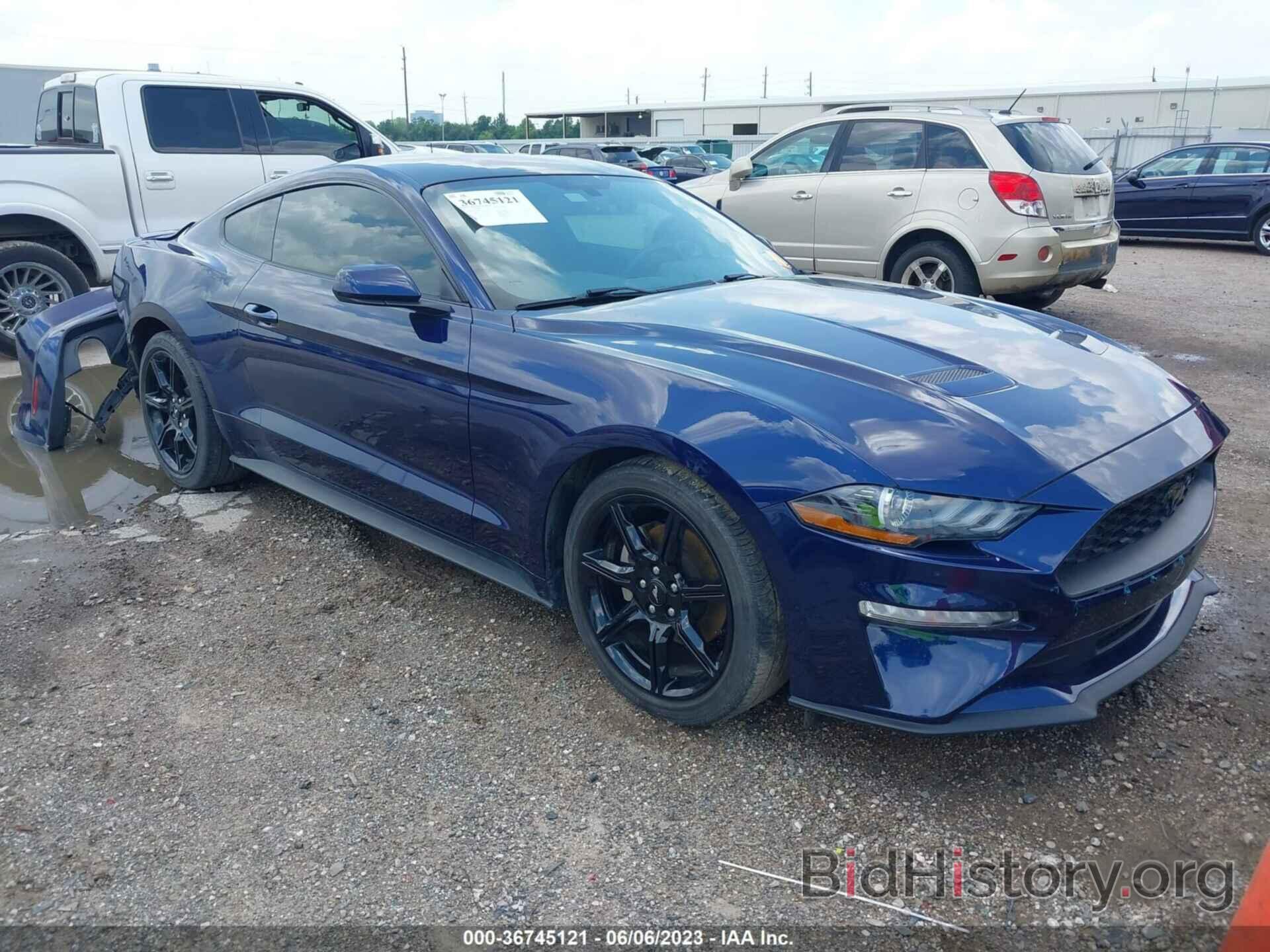 Photo 1FA6P8TH8K5204210 - FORD MUSTANG 2019