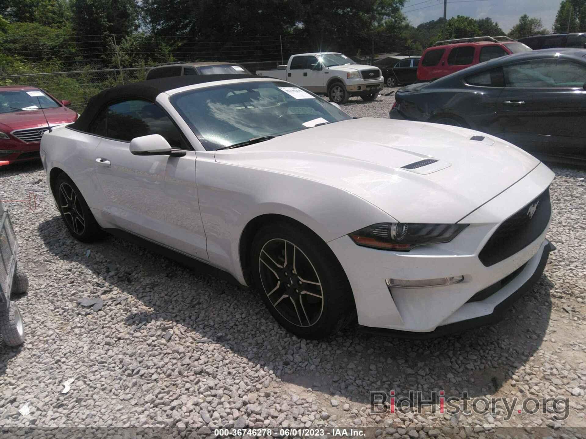 Photo 1FATP8UH8L5179666 - FORD MUSTANG 2020