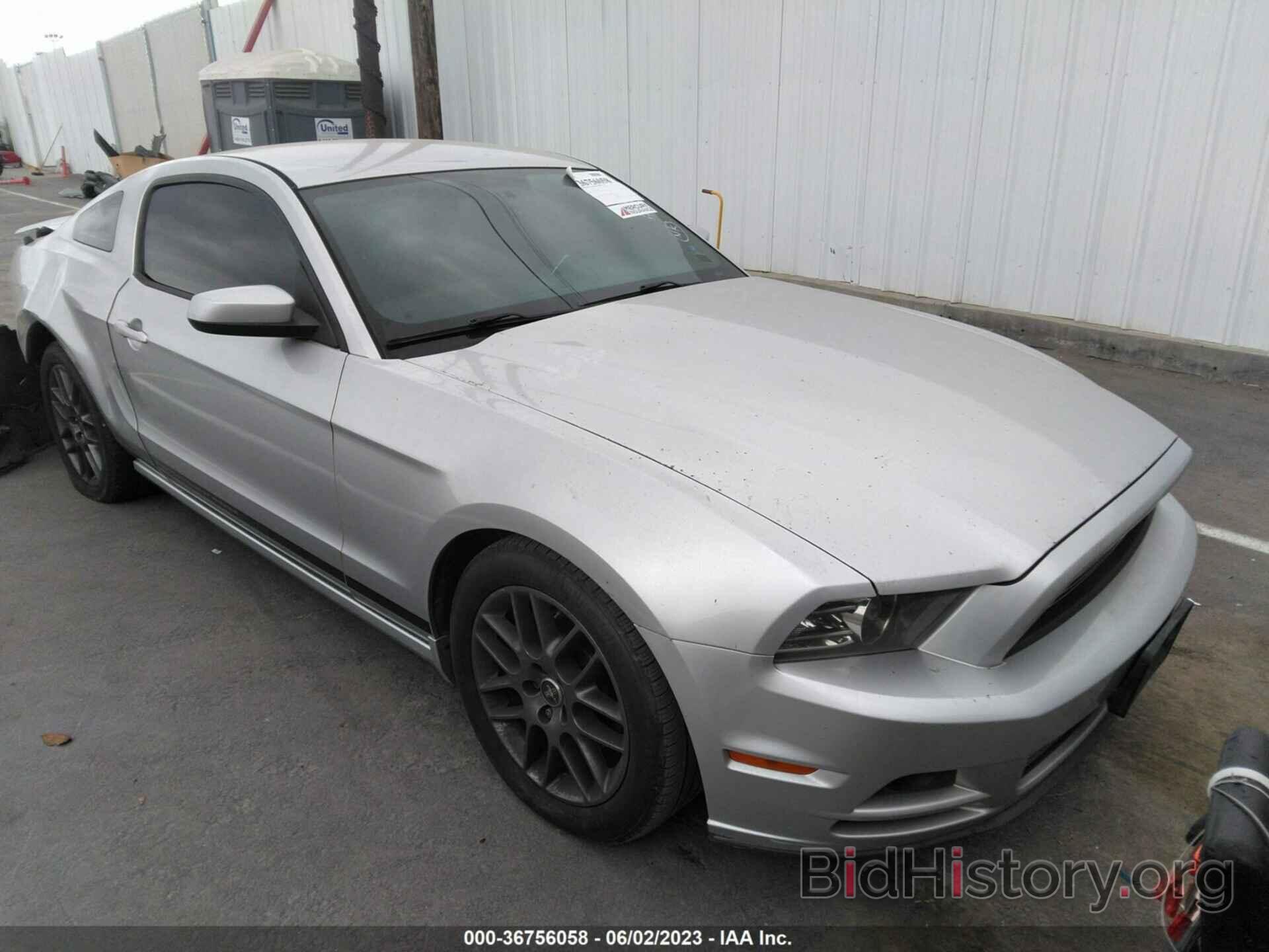 Photo 1ZVBP8AM6E5321598 - FORD MUSTANG 2014
