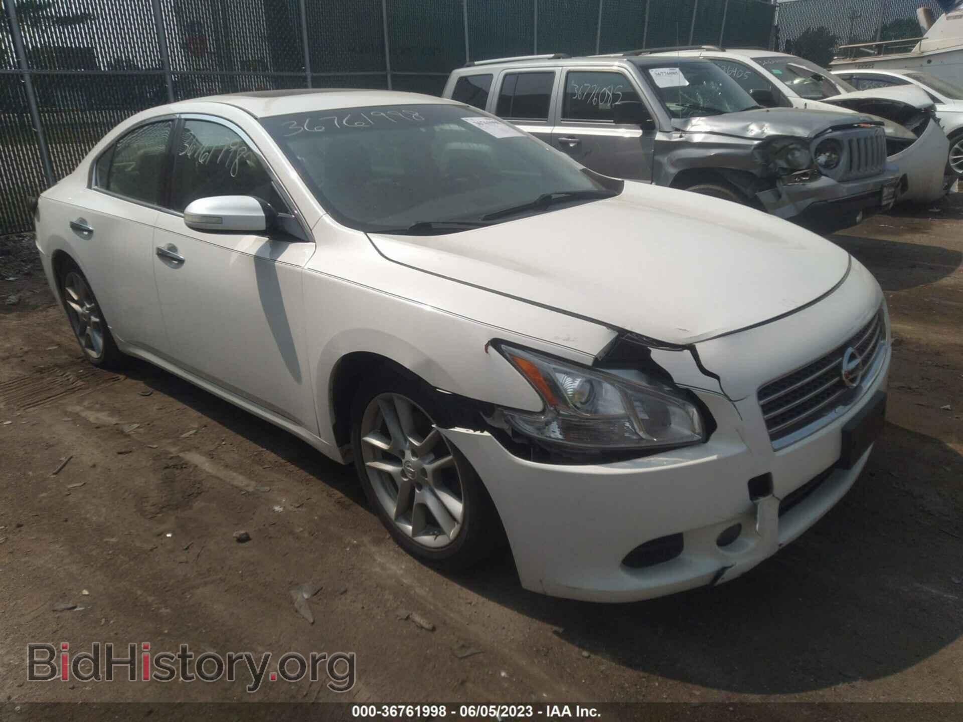 Фотография 1N4AA5AP3AC853945 - NISSAN MAXIMA 2010