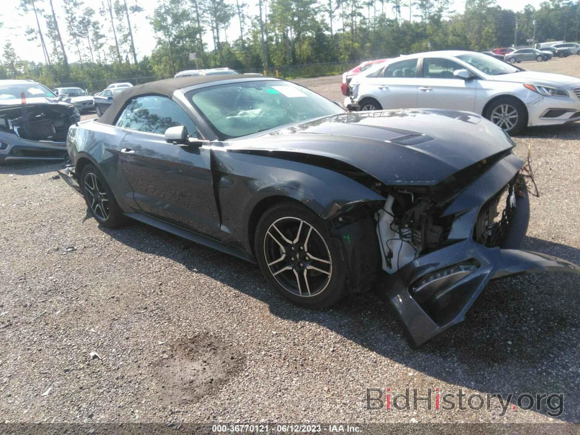 Photo 1FATP8UH0K5170944 - FORD MUSTANG 2019