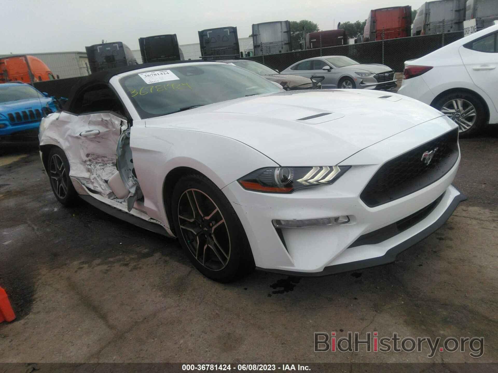 Photo 1FATP8UH5M5105008 - FORD MUSTANG 2021