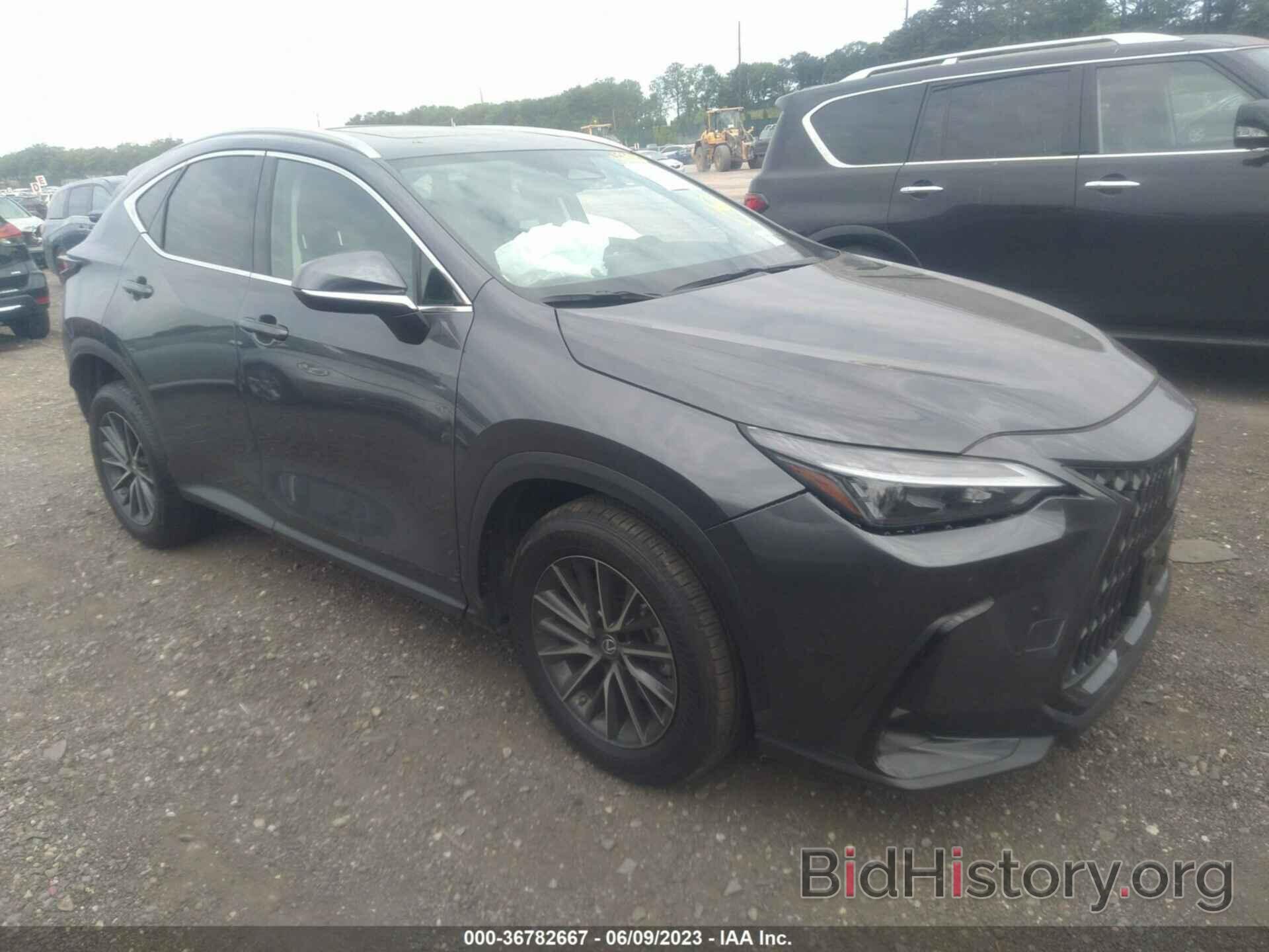 Photo 2T2GGCEZ2PC026484 - LEXUS NX 350 2023