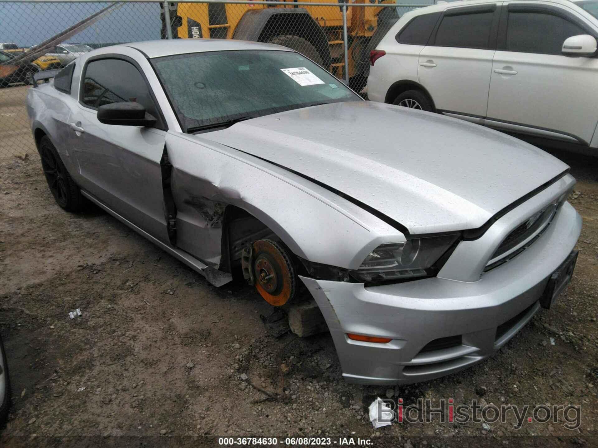 Photo 1ZVBP8AM2E5306287 - FORD MUSTANG 2014
