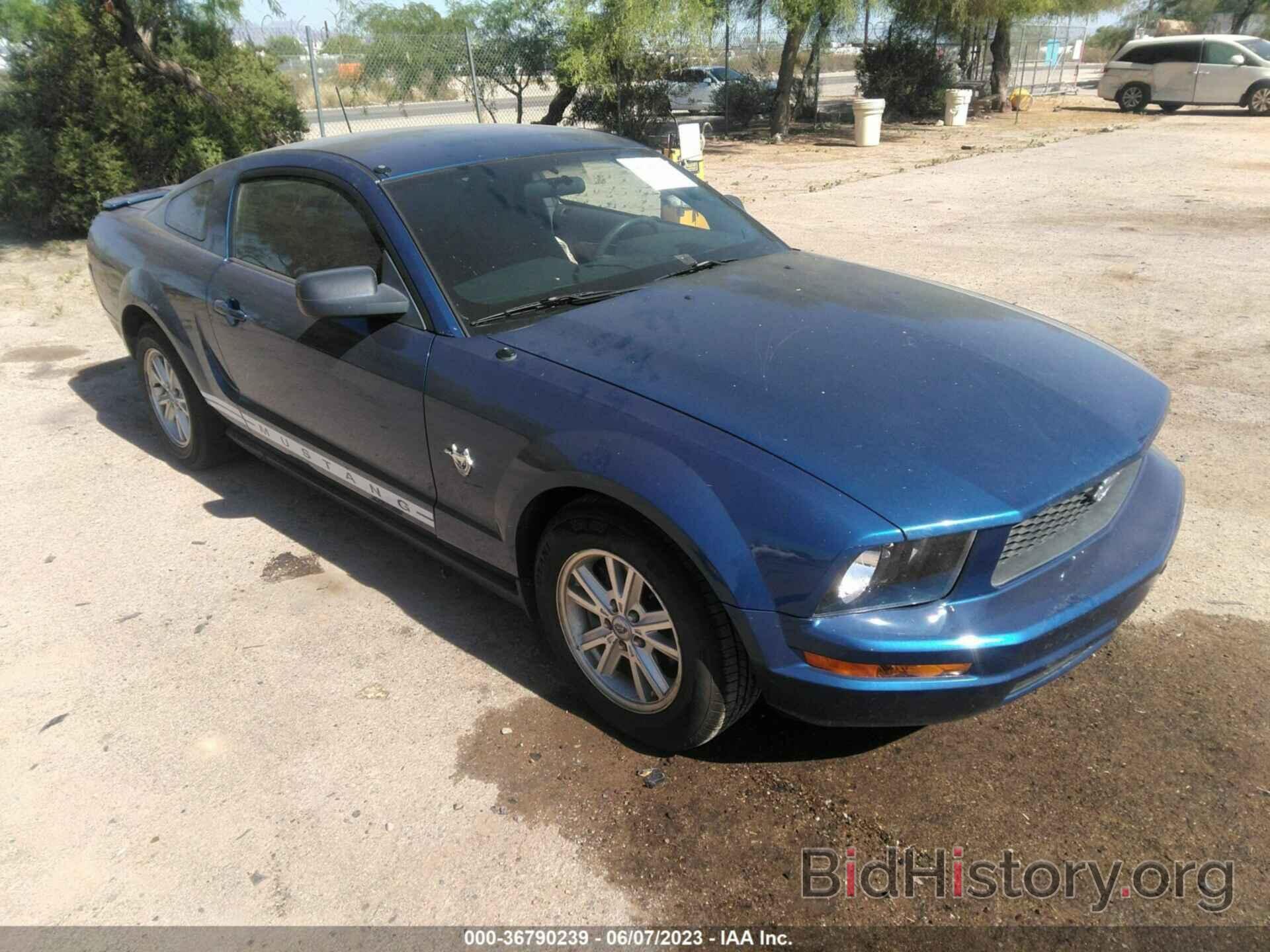 Photo 1ZVHT80N195128670 - FORD MUSTANG 2009