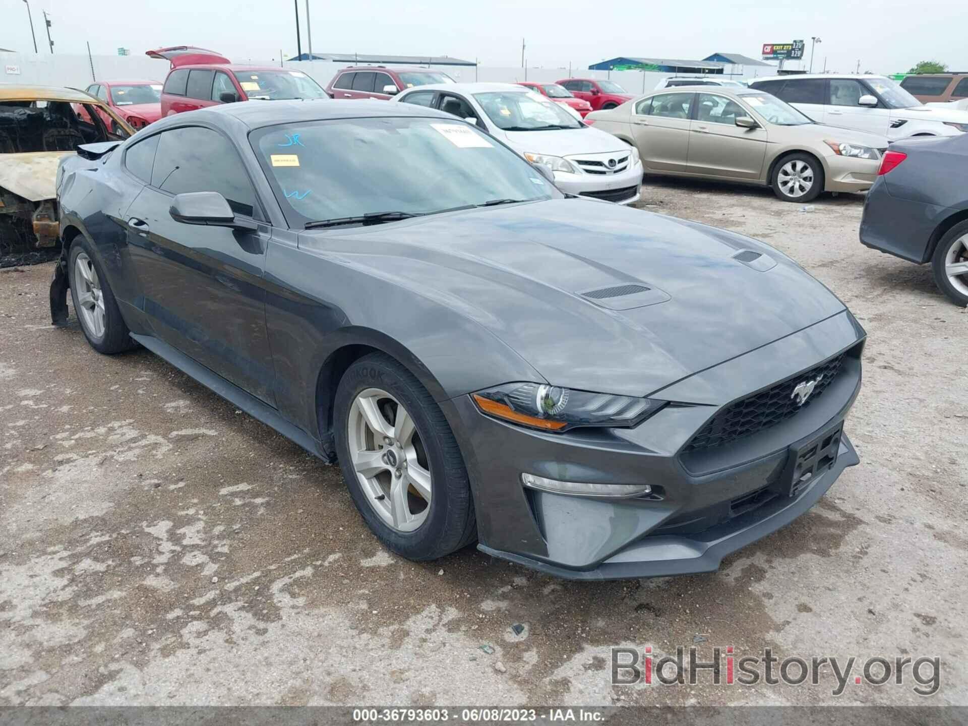 Photo 1FA6P8TH3K5182729 - FORD MUSTANG 2019