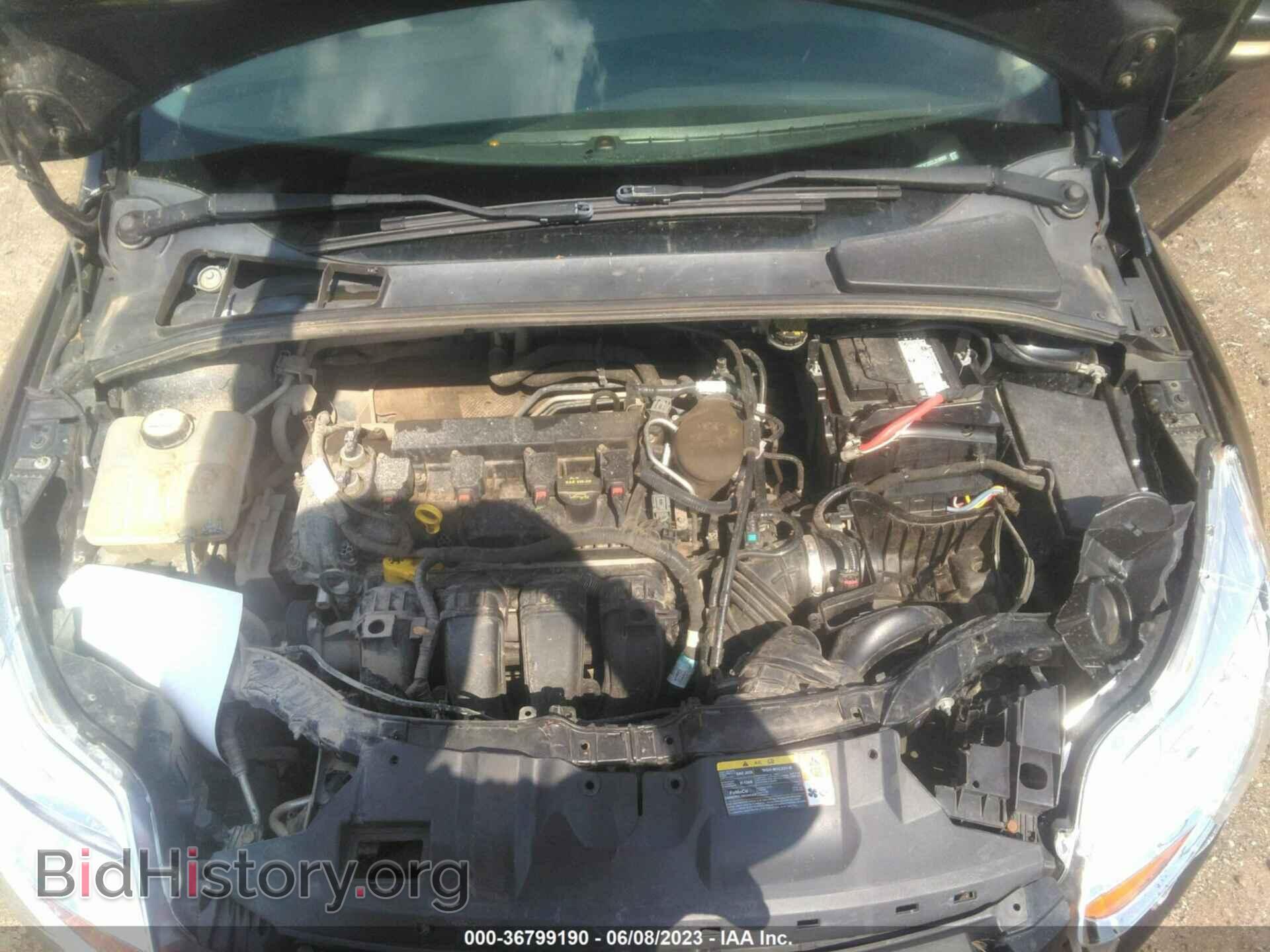 2013 FORD FOCUS - VIN: 1FADP3F20DL318900 - Фото 10