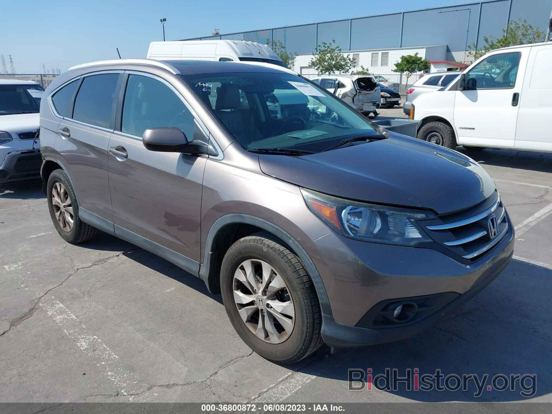 Photo 5J6RM3H72DL049519 - HONDA CR-V 2013