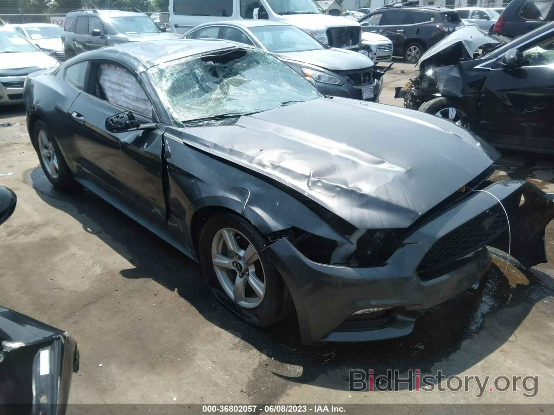 Photo 1FA6P8AM0H5289391 - FORD MUSTANG 2017