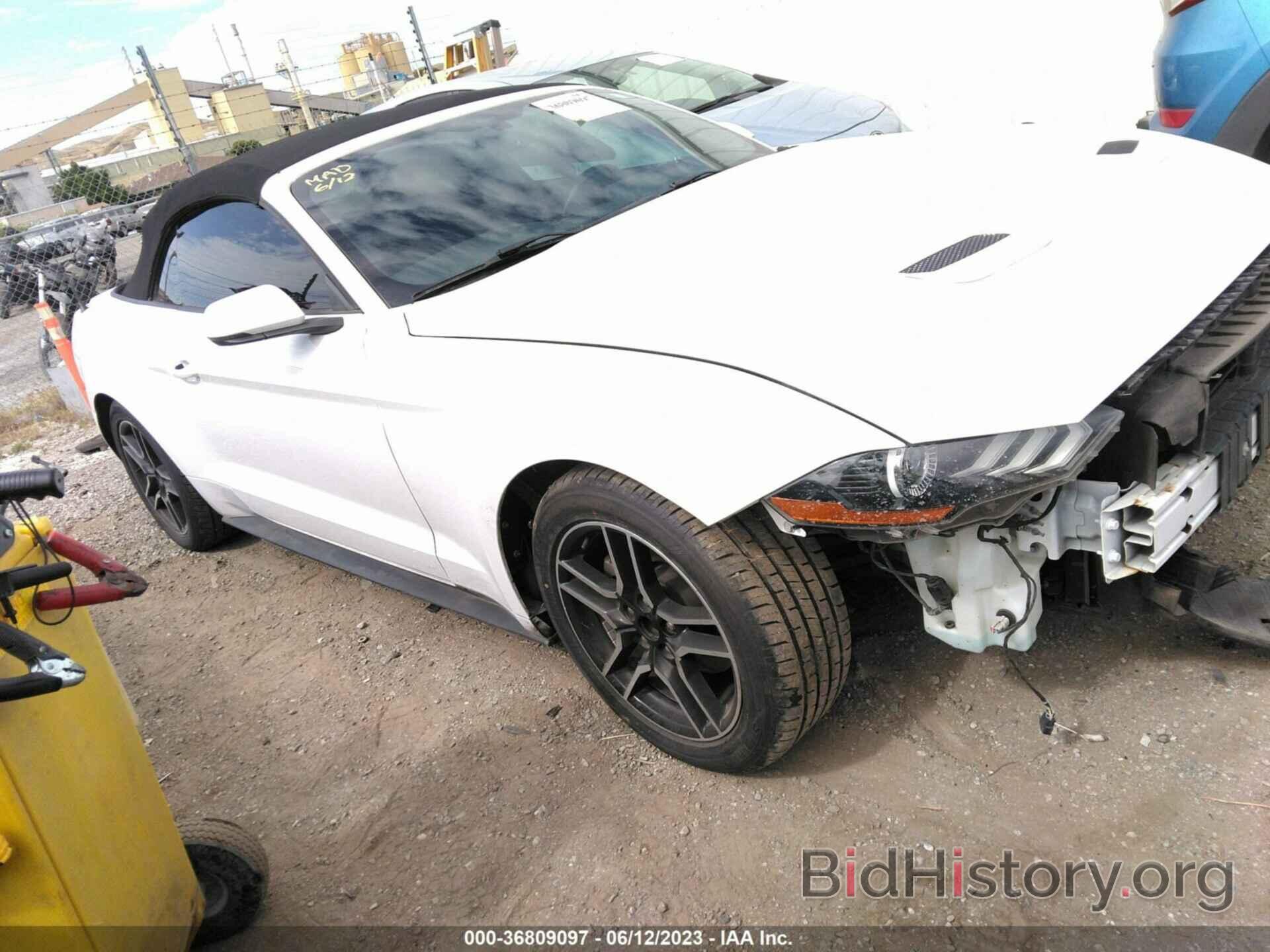 Photo 1FATP8UH9K5181683 - FORD MUSTANG 2019