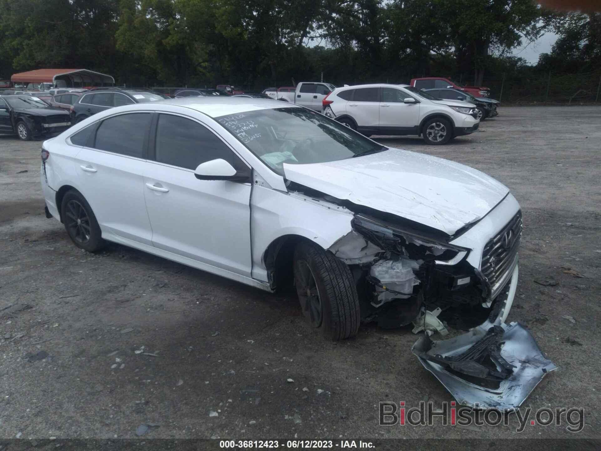 Photo 5NPE24AF6KH786368 - HYUNDAI SONATA 2019