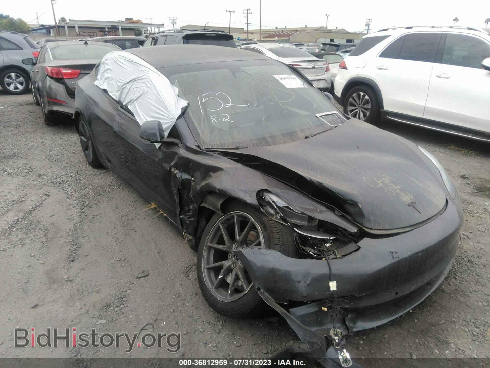 Photo 5YJ3E1EB5MF068137 - TESLA MODEL 3 2021