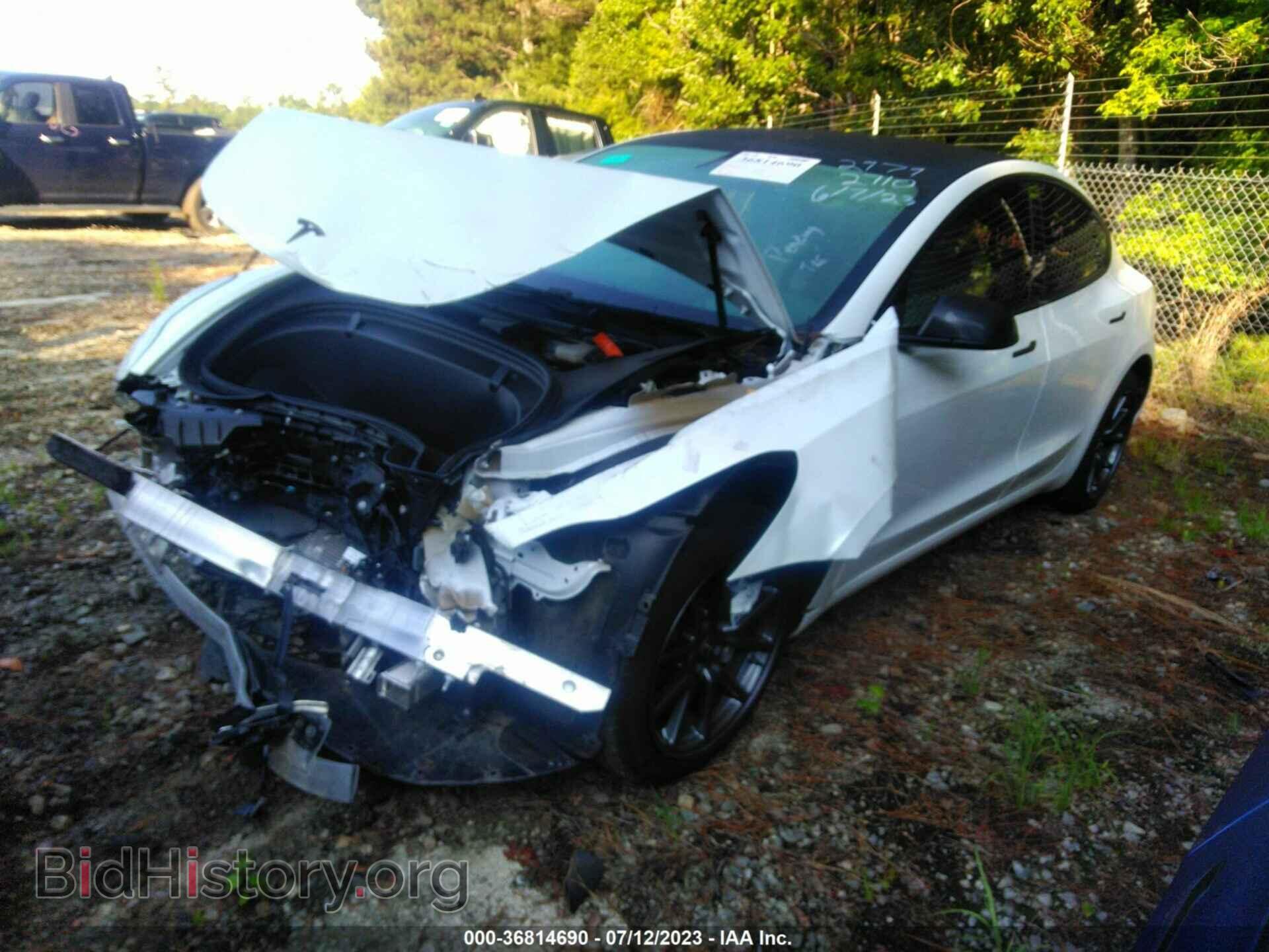2019 TESLA MODEL 3 - VIN: 5YJ3E1EA9KF402979 - Фото 2