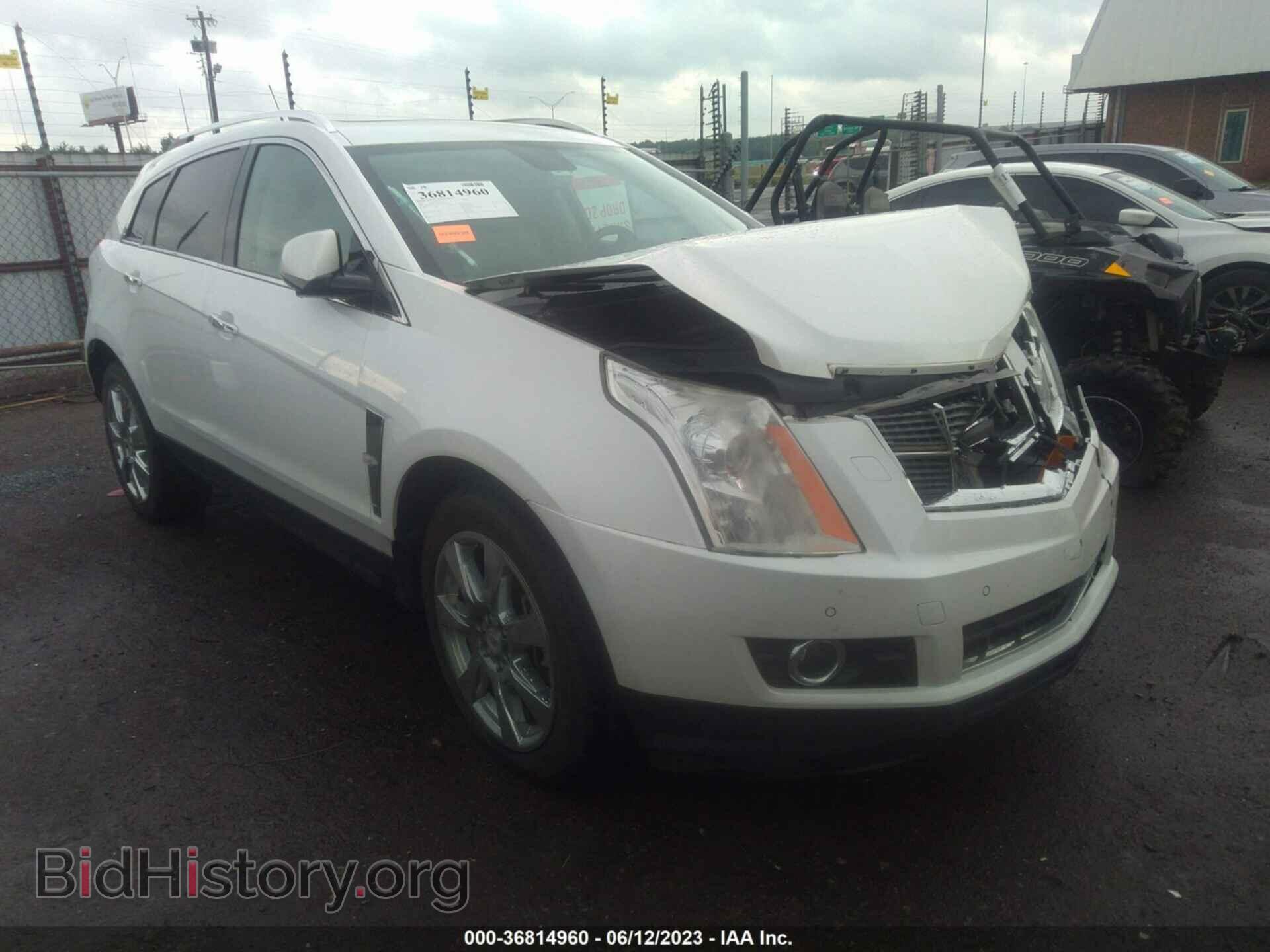 Фотография 3GYFNEEY2BS526921 - CADILLAC SRX 2011