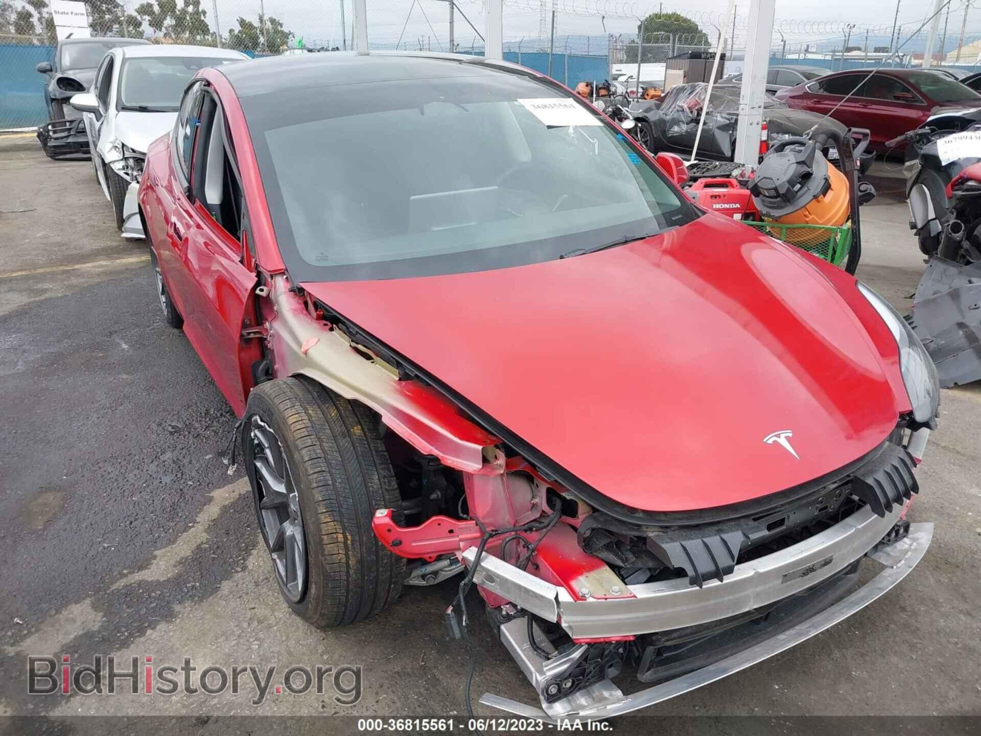 Photo 5YJ3E1EAXNF167710 - TESLA MODEL 3 2022