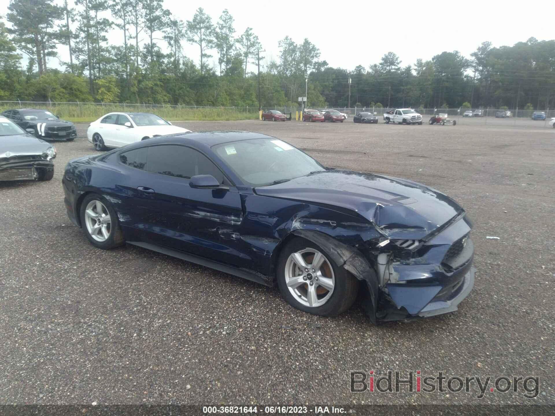 Photo 1FA6P8TH8K5200495 - FORD MUSTANG 2019