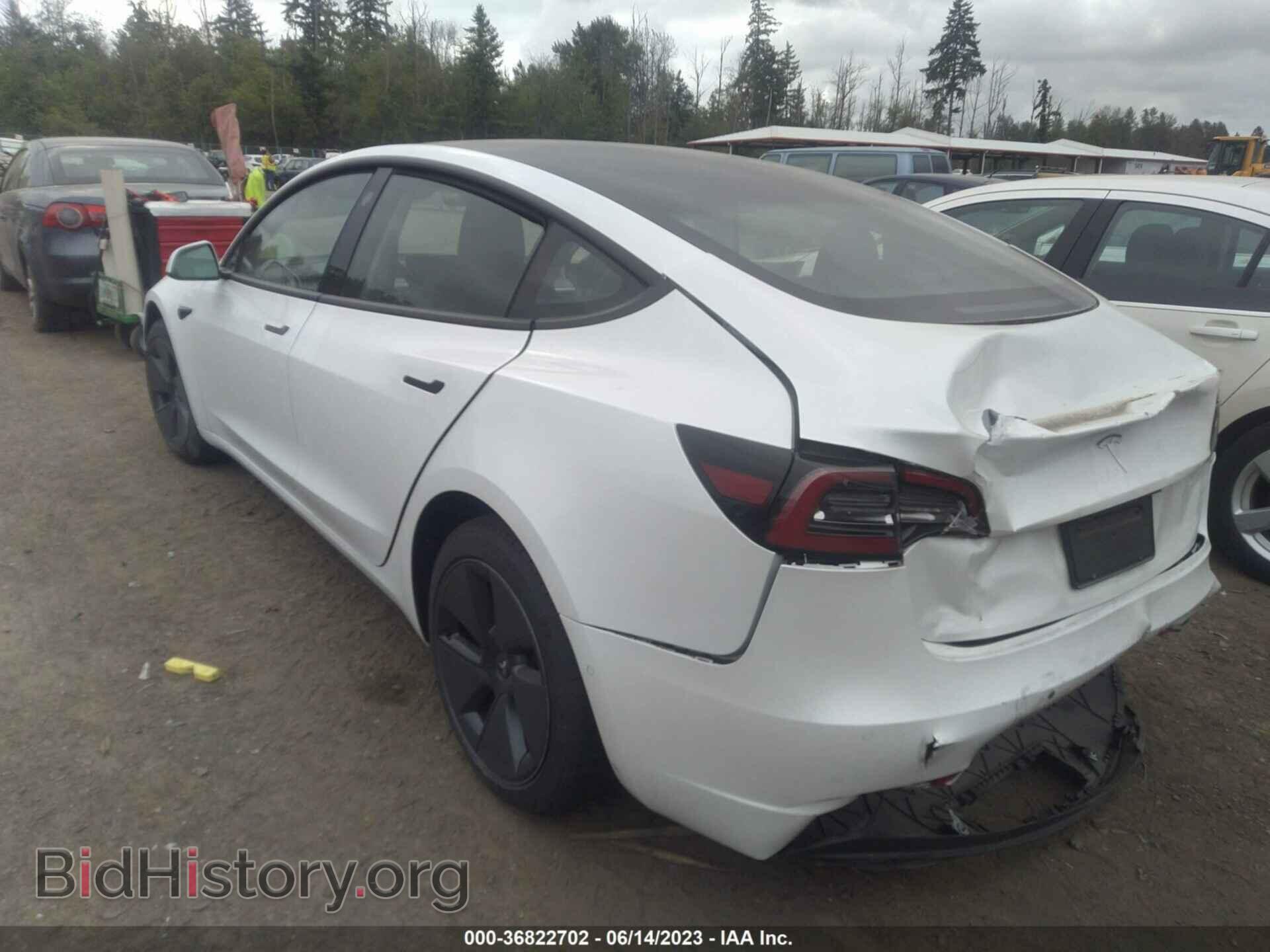 2021 TESLA MODEL 3 - VIN: 5YJ3E1EA5MF867701 - Фото 3