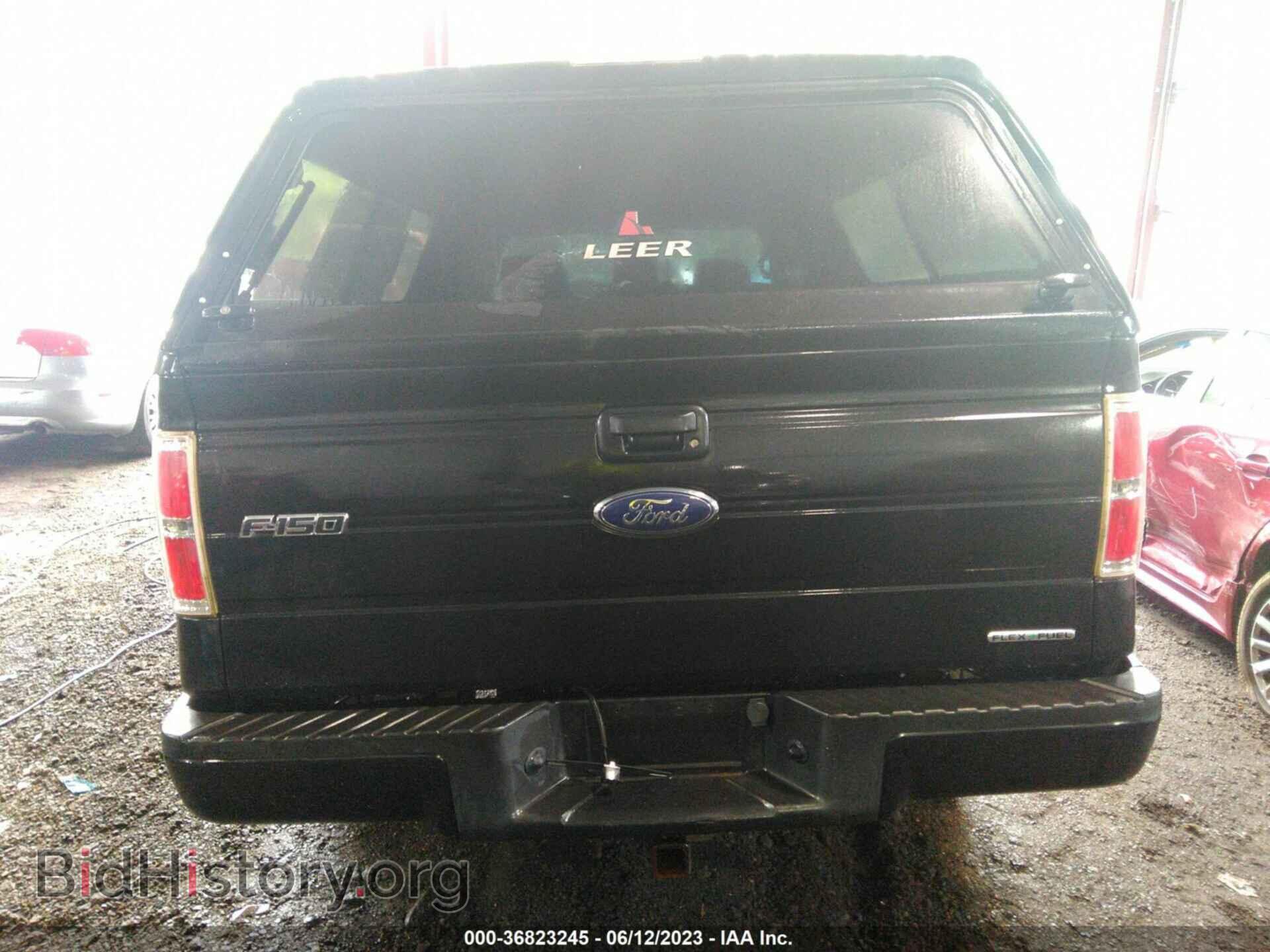 2013 FORD F-150 - VIN: 1FTMF1CF9DFD62840 - Фото 16
