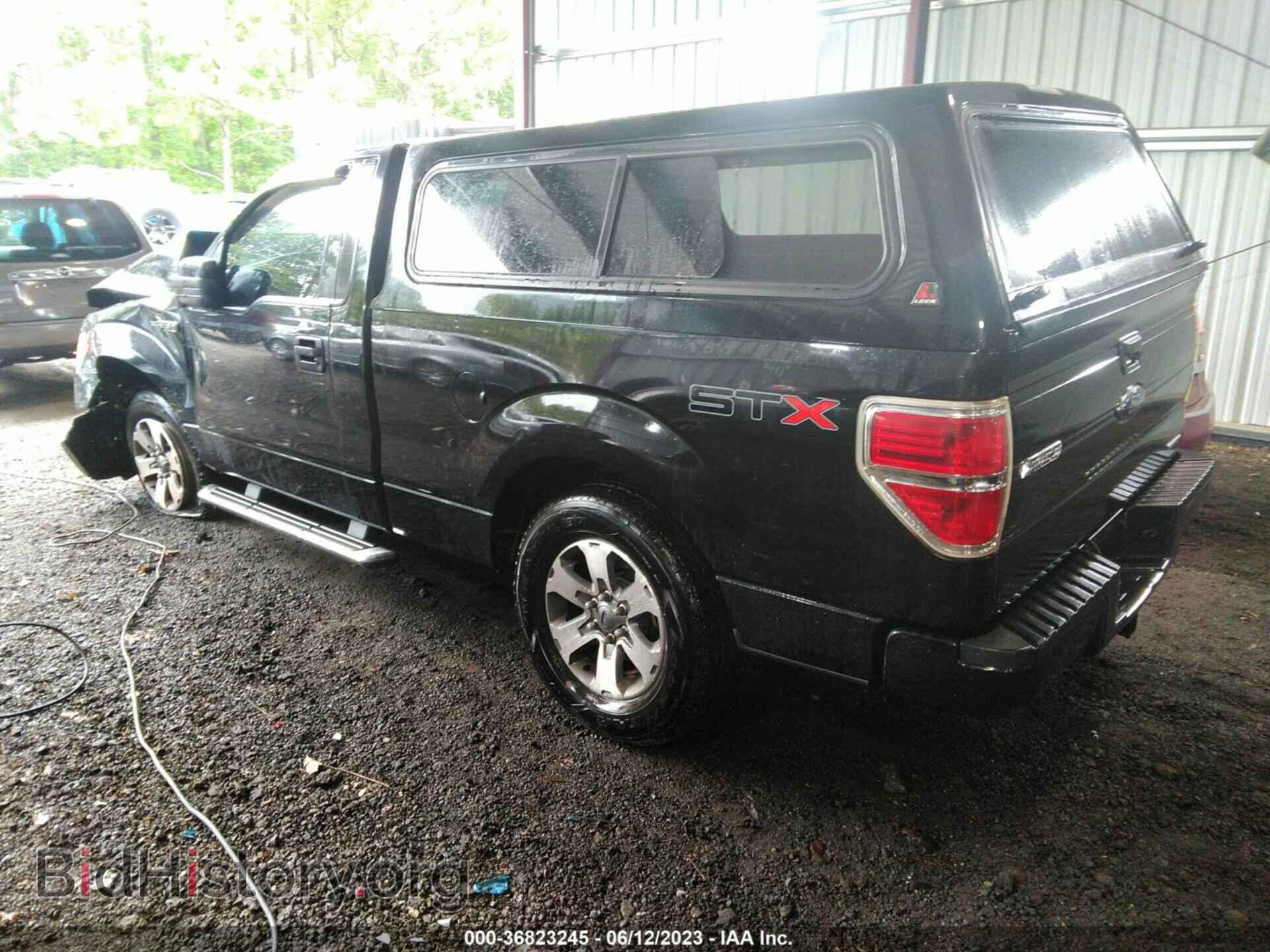 2013 FORD F-150 - VIN: 1FTMF1CF9DFD62840 - Фото 3