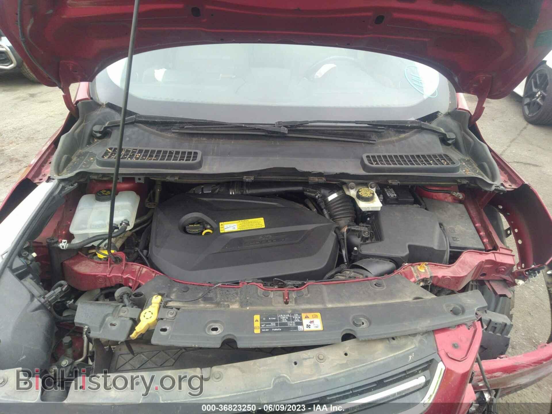 2013 FORD ESCAPE - VIN: 1FMCU0HX7DUB90196 - Фото 10