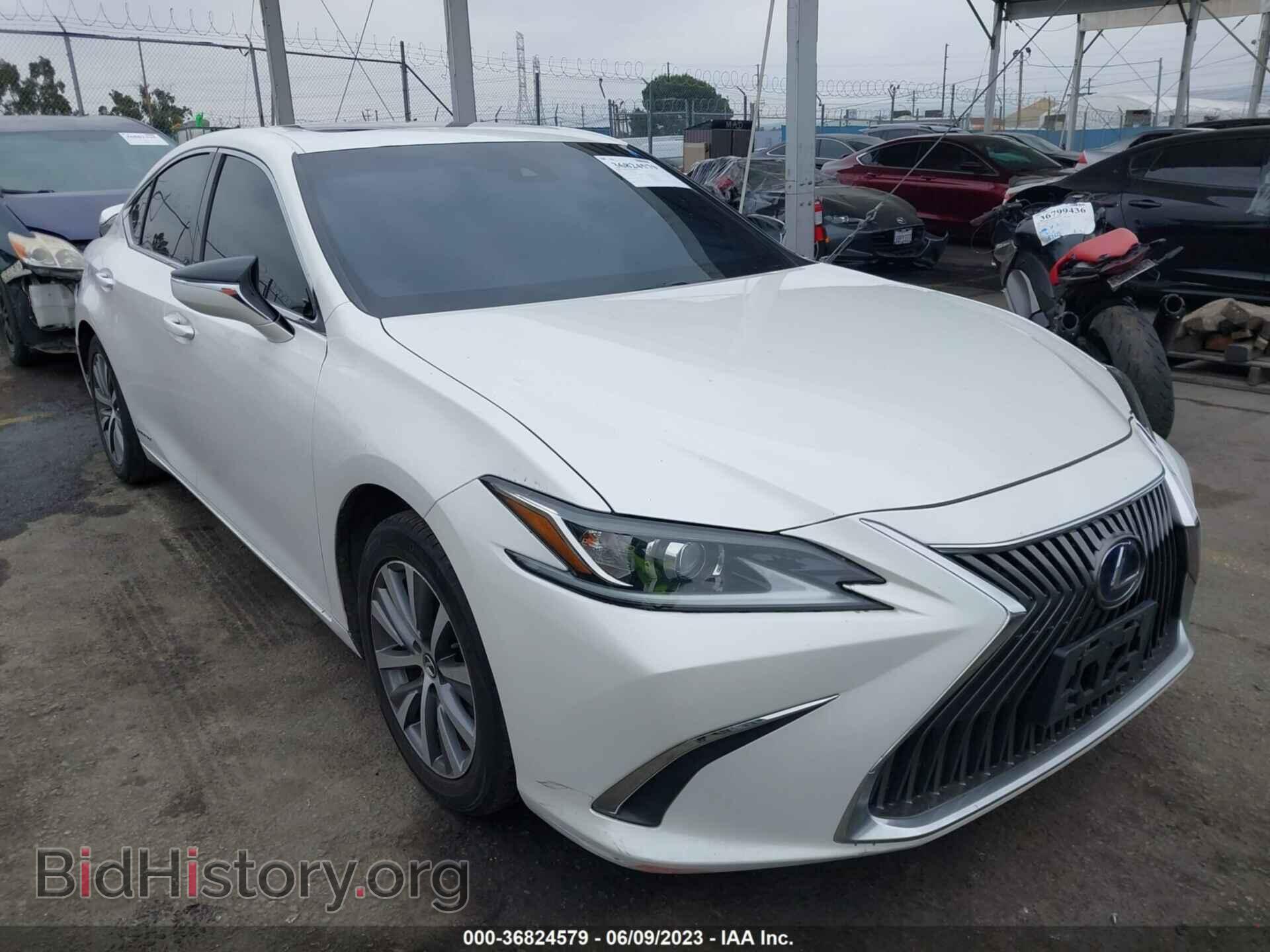 Photo 58AC21B19LU007159 - LEXUS ES 2020