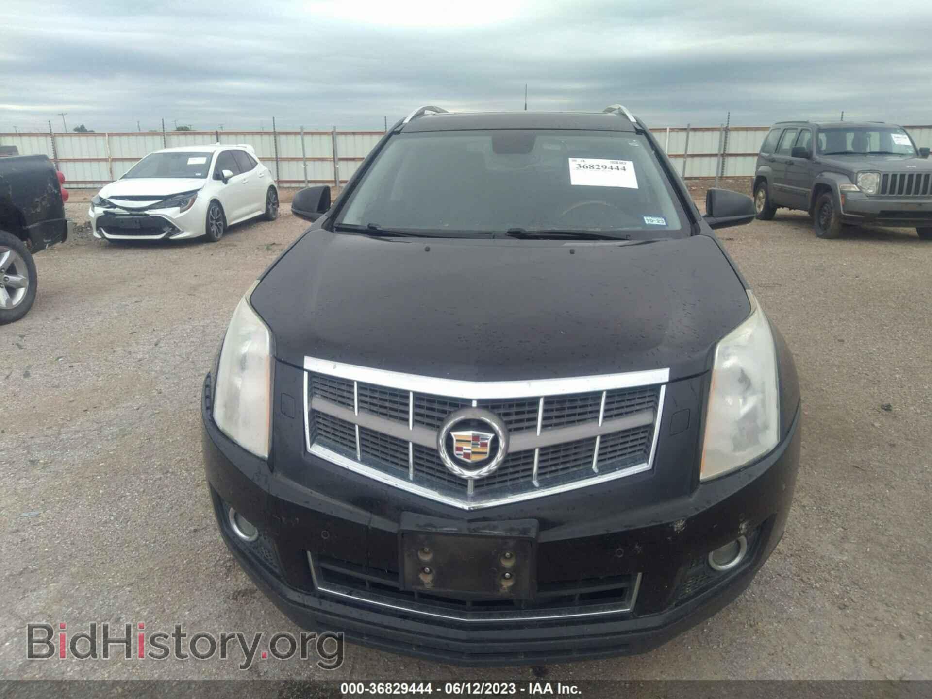 2011 CADILLAC SRX - VIN: 3GYFNFEY4BS527591 - Фото 6