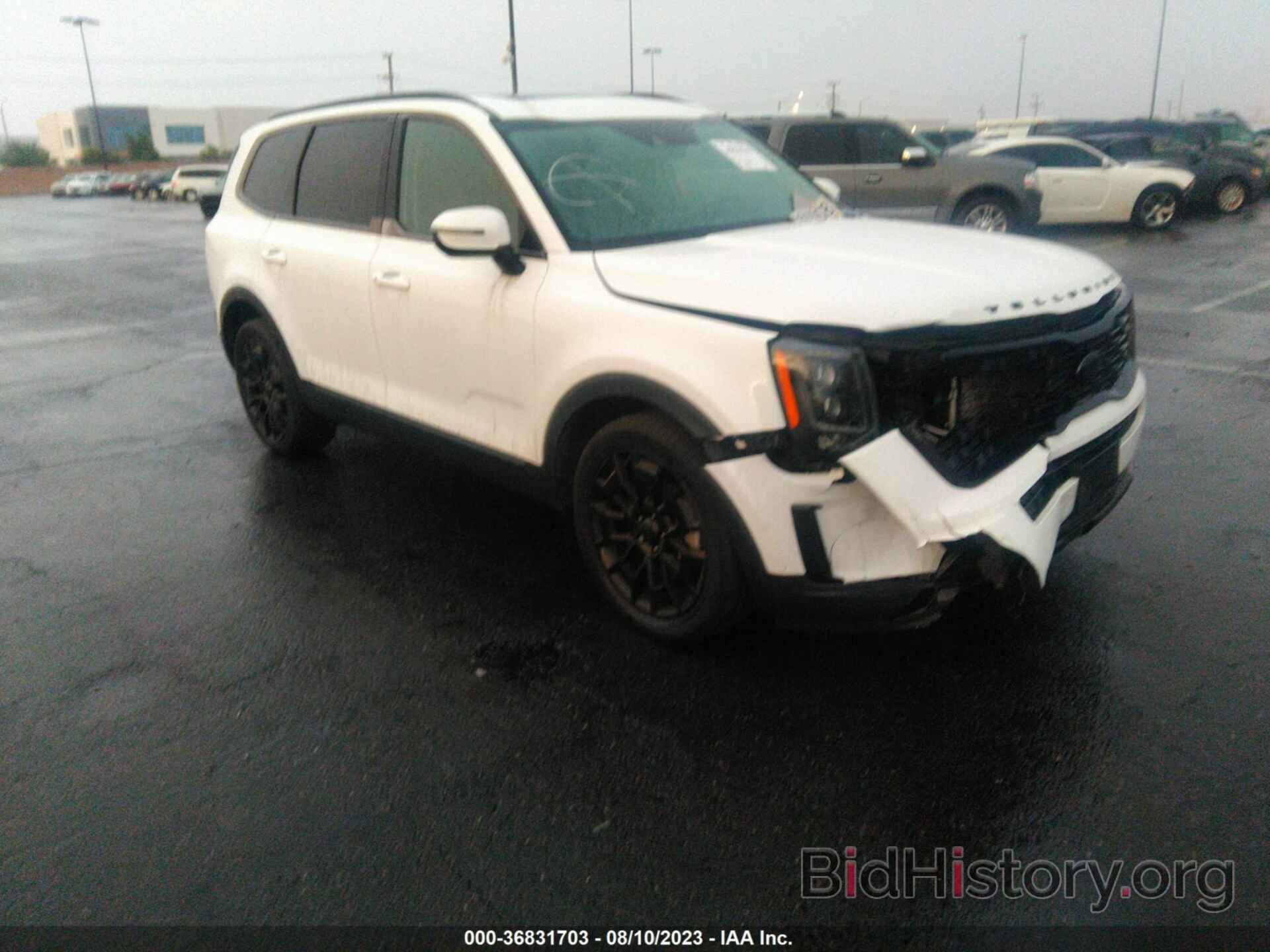 Photo 5XYP3DHC9MG110301 - KIA TELLURIDE 2021