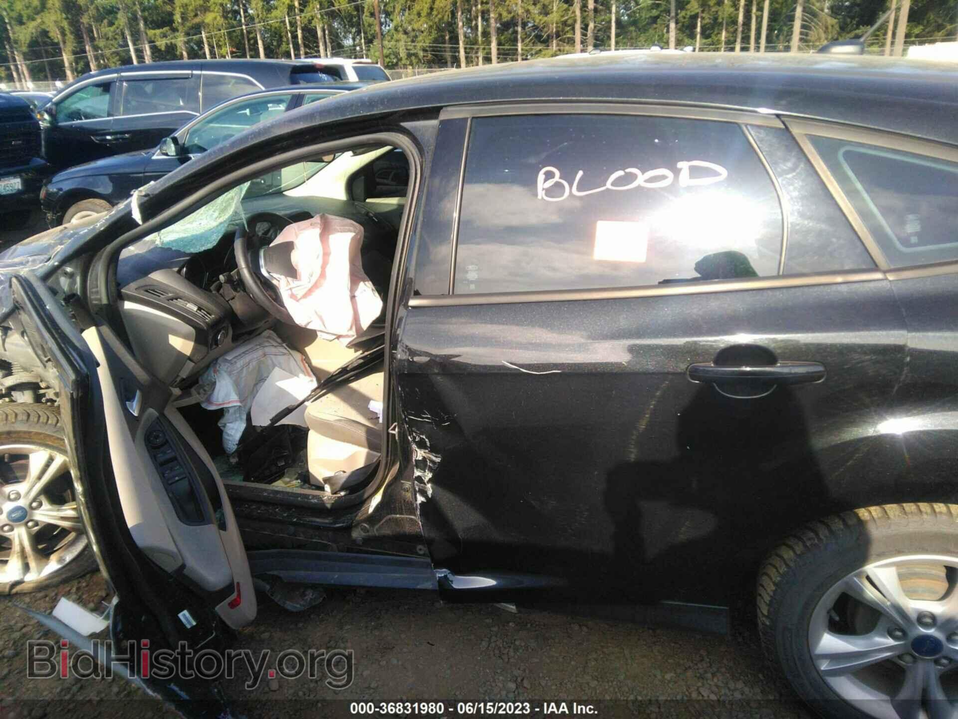 2013 FORD FOCUS - VIN: 1FADP3K26DL255470 - Фото 14
