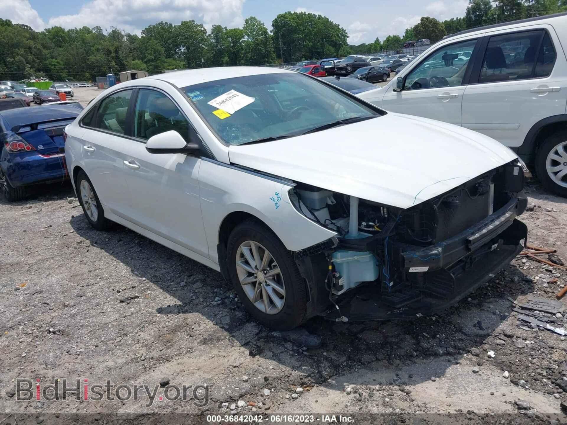 Photo 5NPE24AF7KH739348 - HYUNDAI SONATA 2019