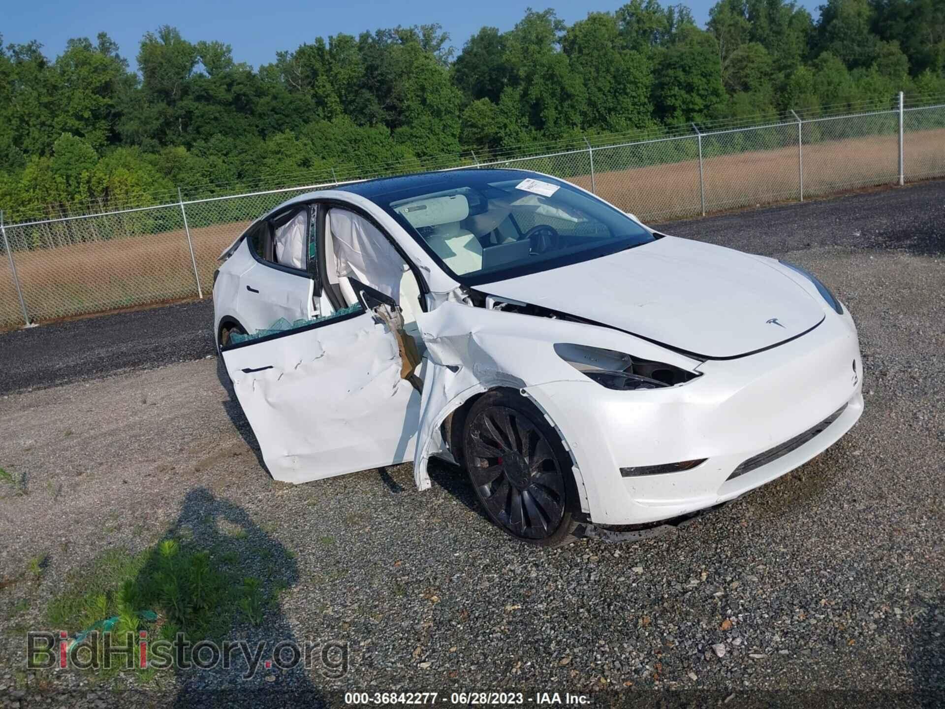 Photo 5YJYGDEF6MF264009 - TESLA MODEL Y 2021
