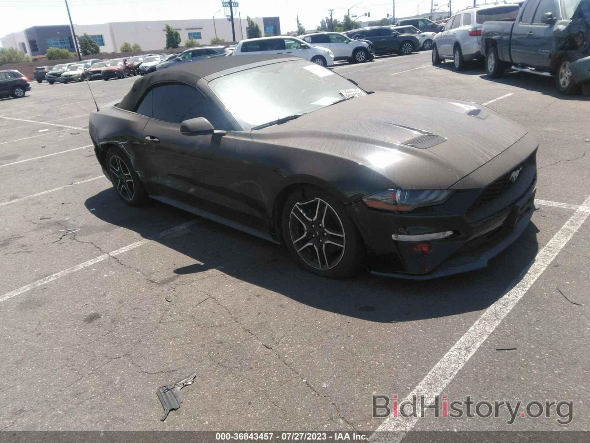 Photo 1FATP8UH9K5161725 - FORD MUSTANG 2019