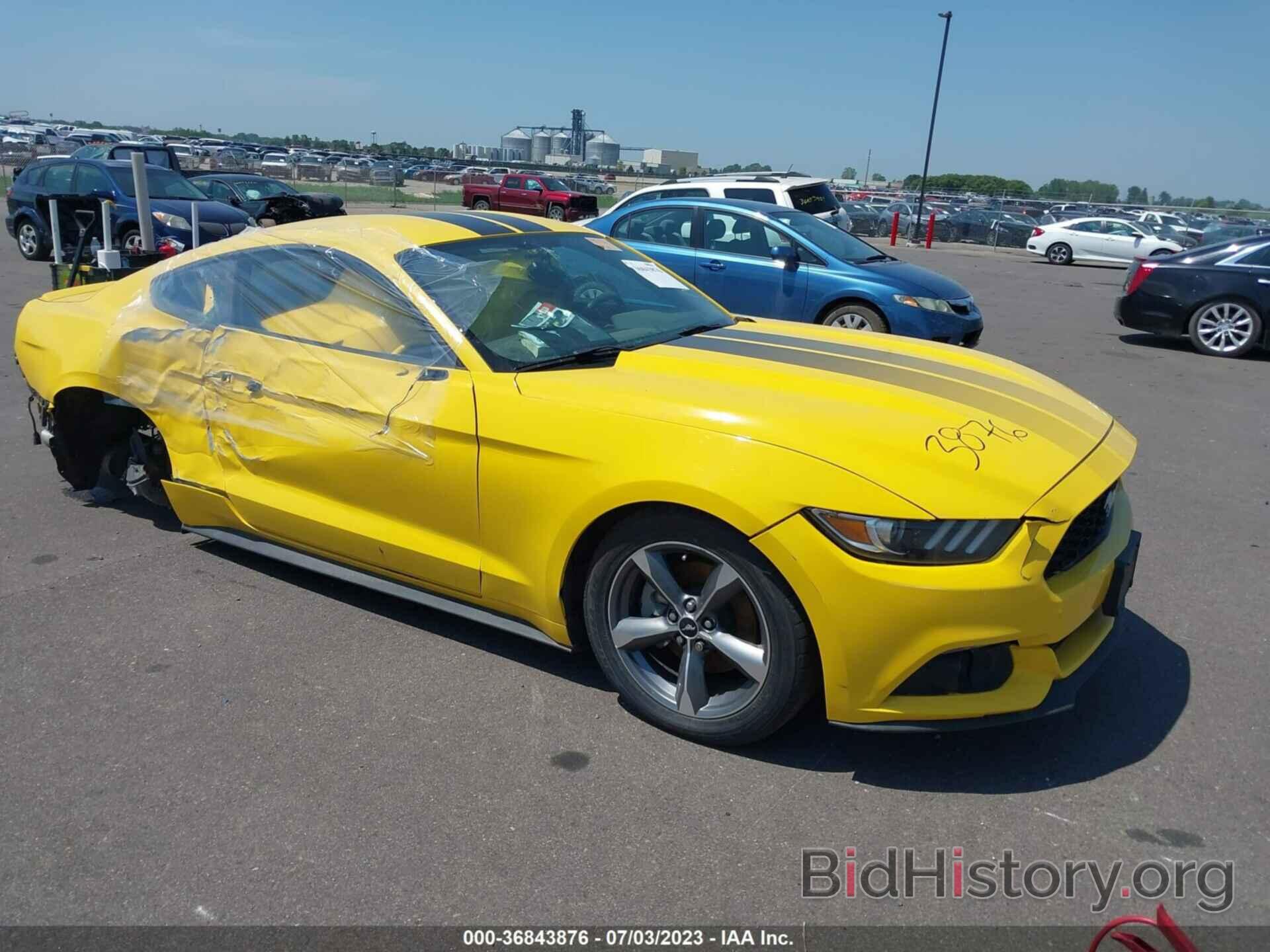 Photo 1FA6P8AM2H5219178 - FORD MUSTANG 2017