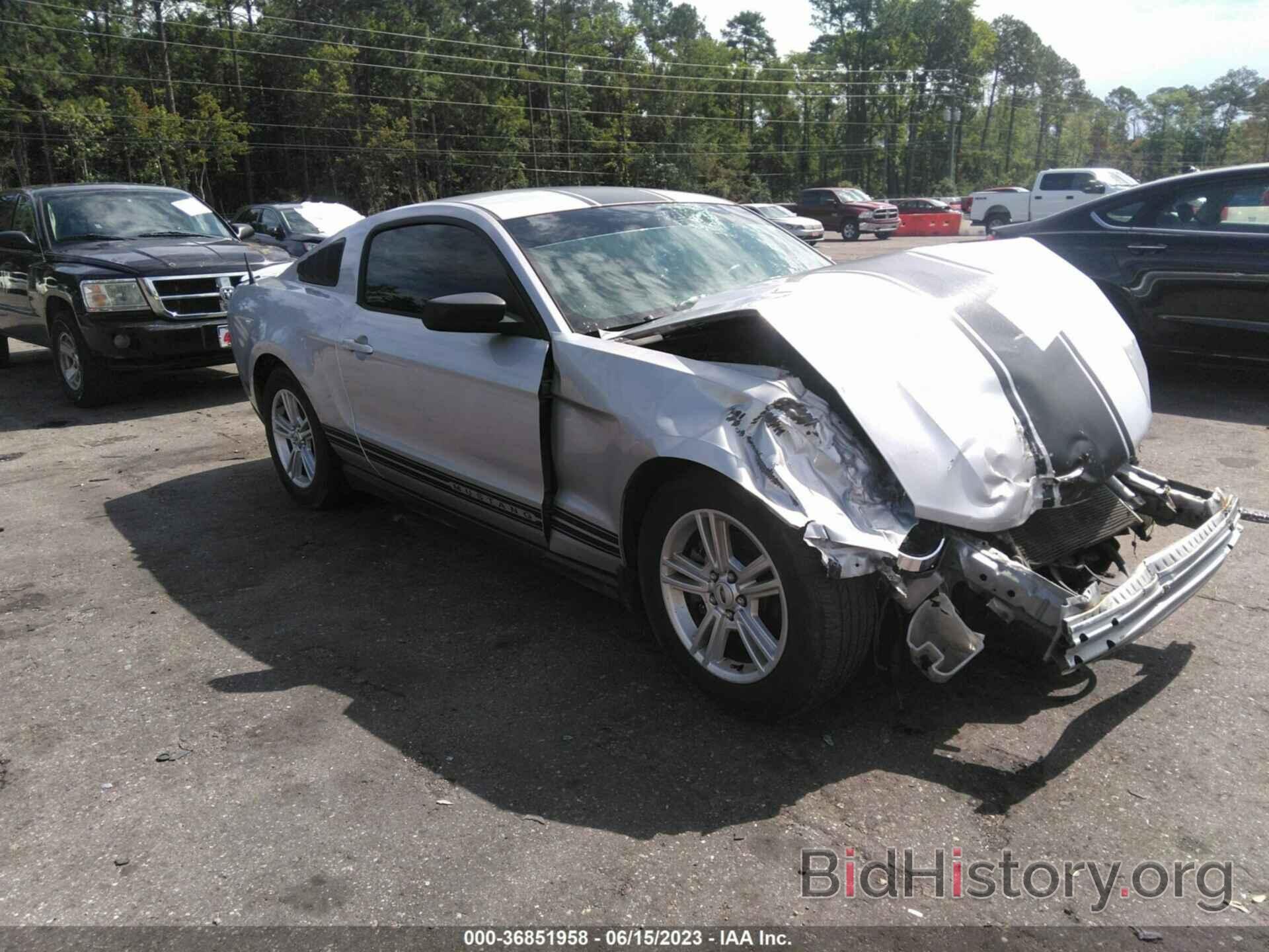 Photo 1ZVBP8AM1C5236083 - FORD MUSTANG 2012
