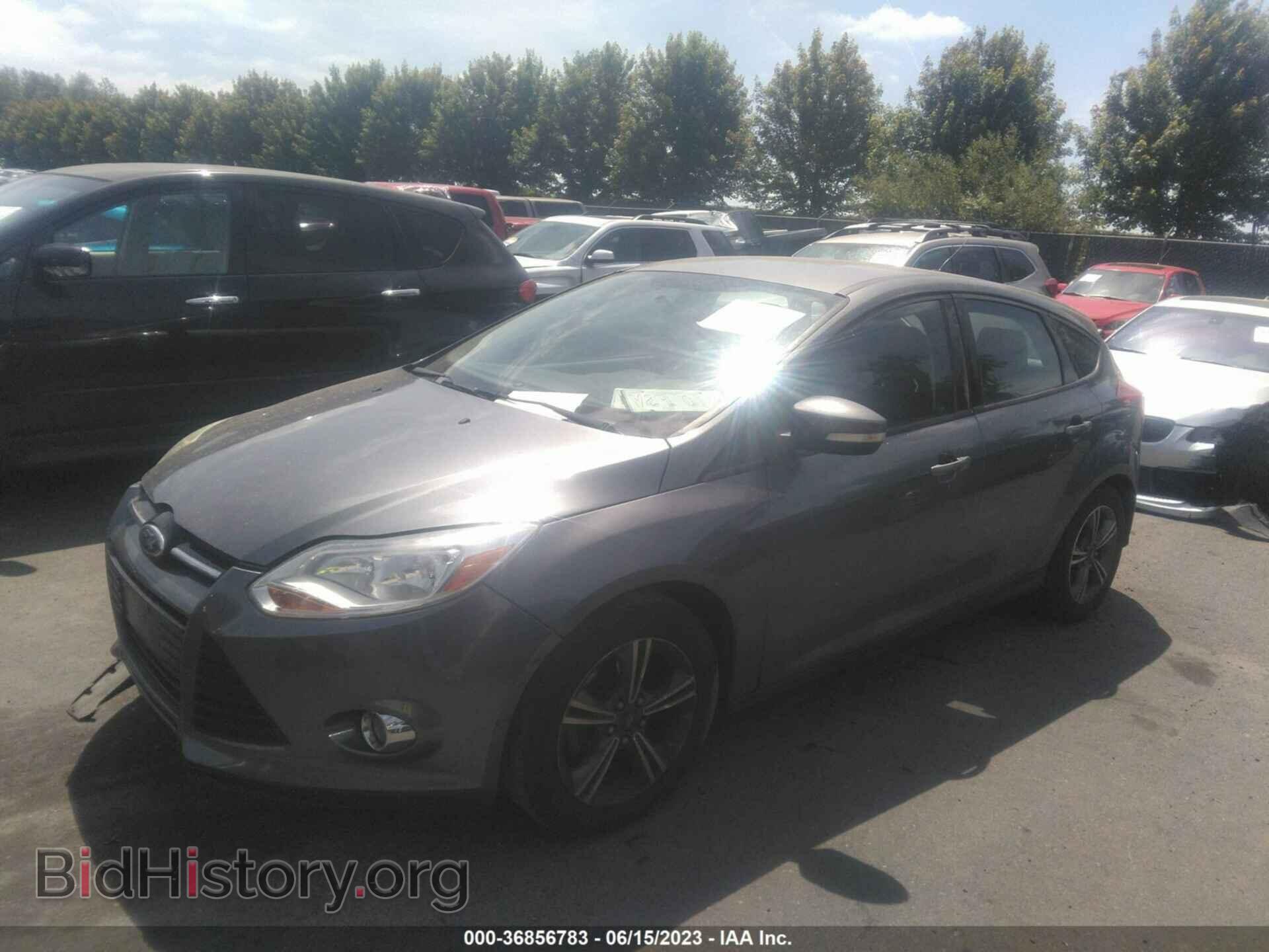 2012 FORD FOCUS - VIN: 1FAHP3K2XCL324211 - Фото 2