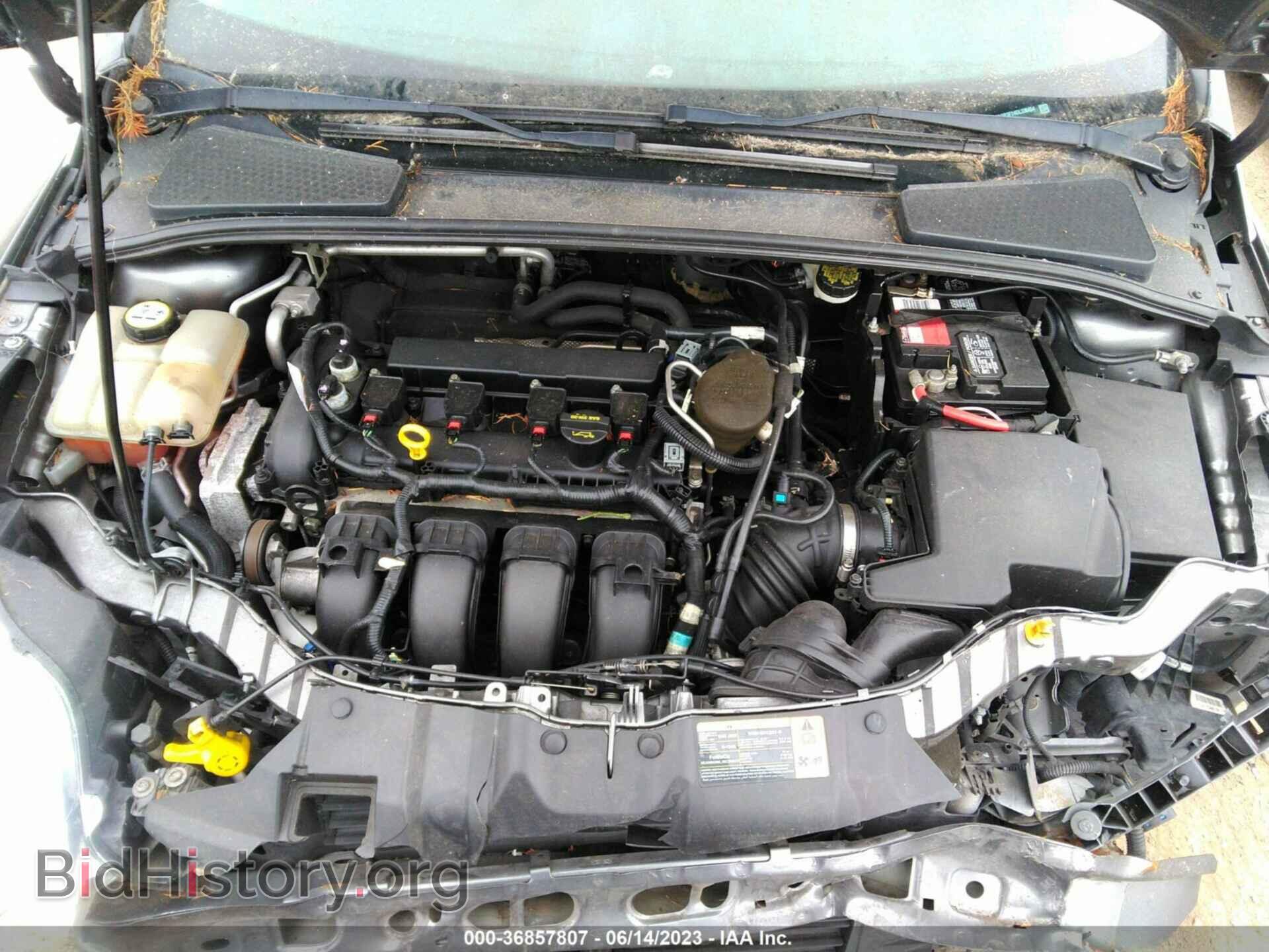 2013 FORD FOCUS - VIN: 1FADP3F24DL338454 - Фото 10